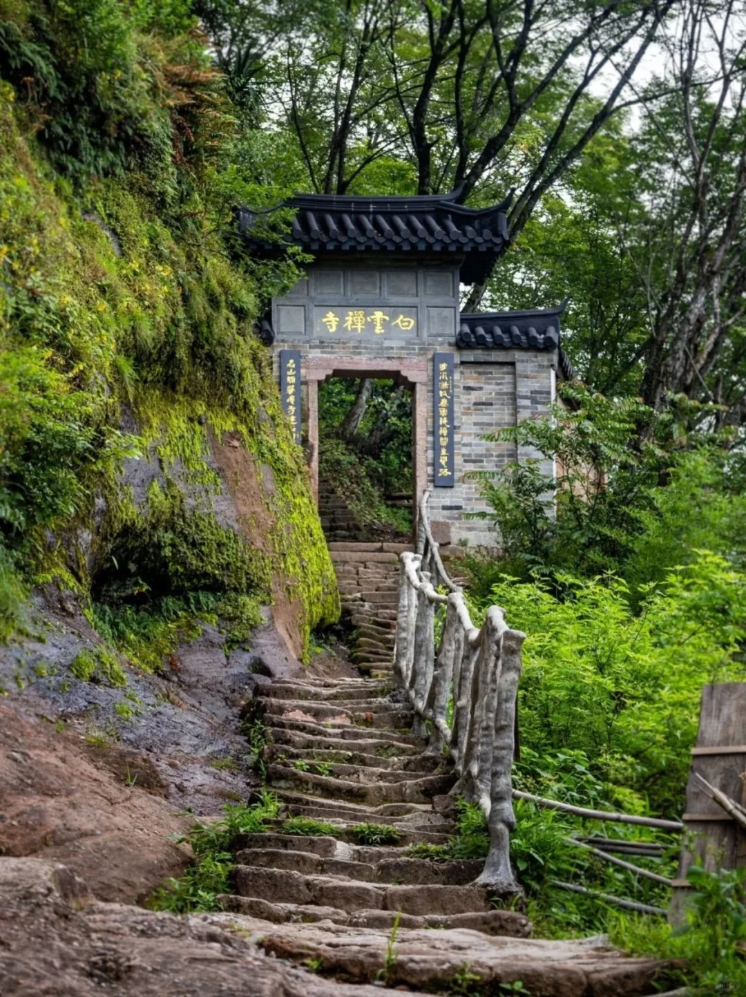 被低估的宝藏小城｜世界自然遗产⛰武夷山