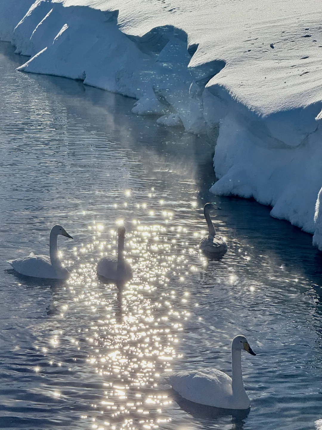 在赛里木湖拍到了我的人生live📷