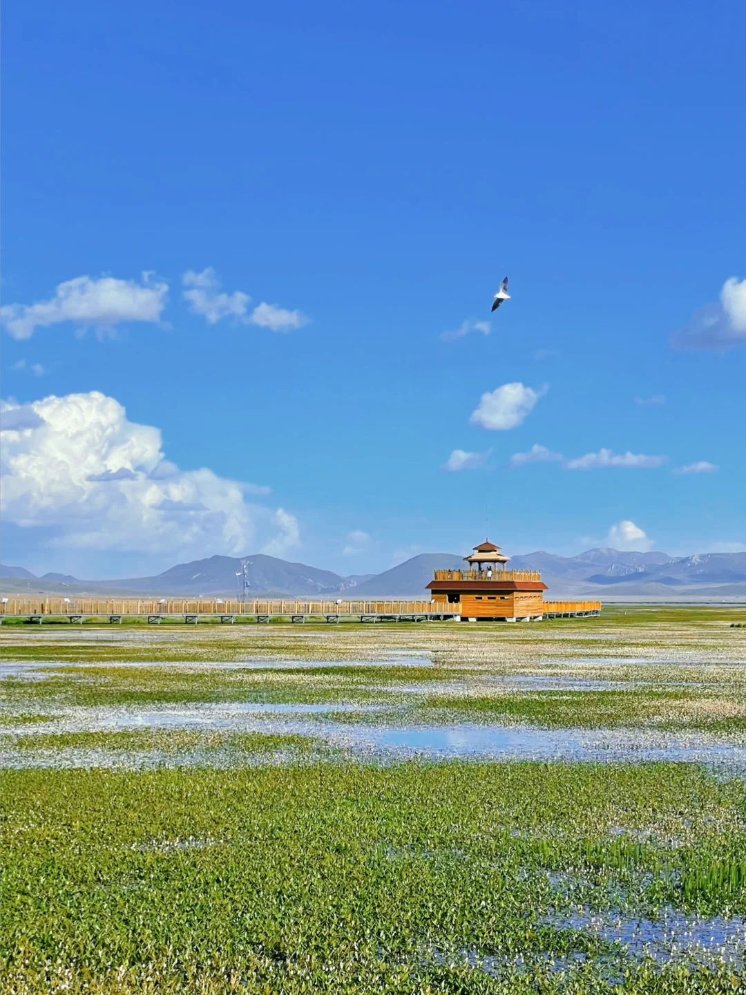 ✈️5个适合7-8月夏天避暑旅行地,你去了几个