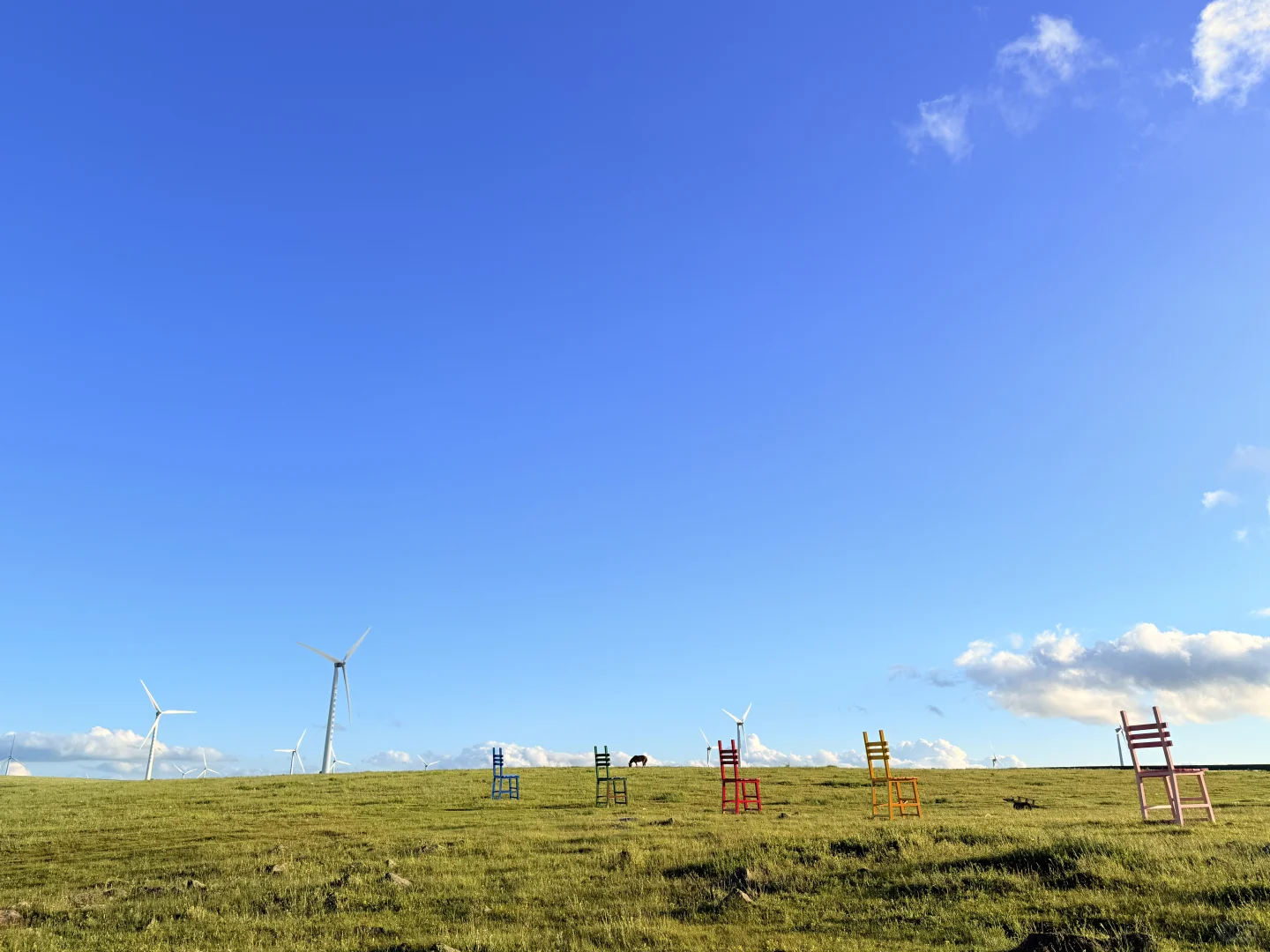大胆发言！内蒙古是不是可以作为新疆平替
