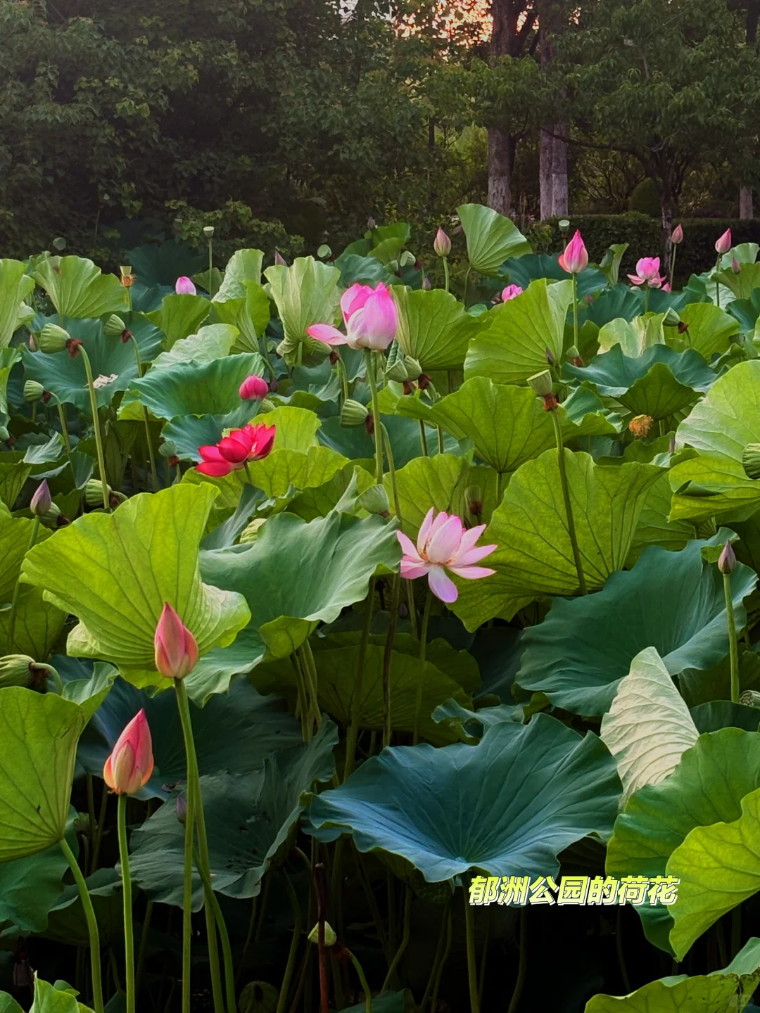 西安🚄到连云港四天三晚亲子旅游攻略