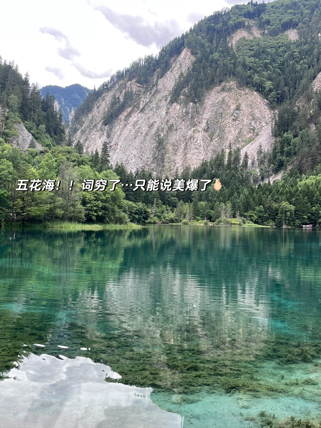 📍九寨沟｜真的值得作为毕业旅行第一站吗✈️