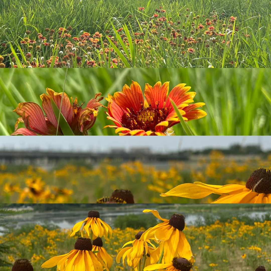 别管 反正周末到河北