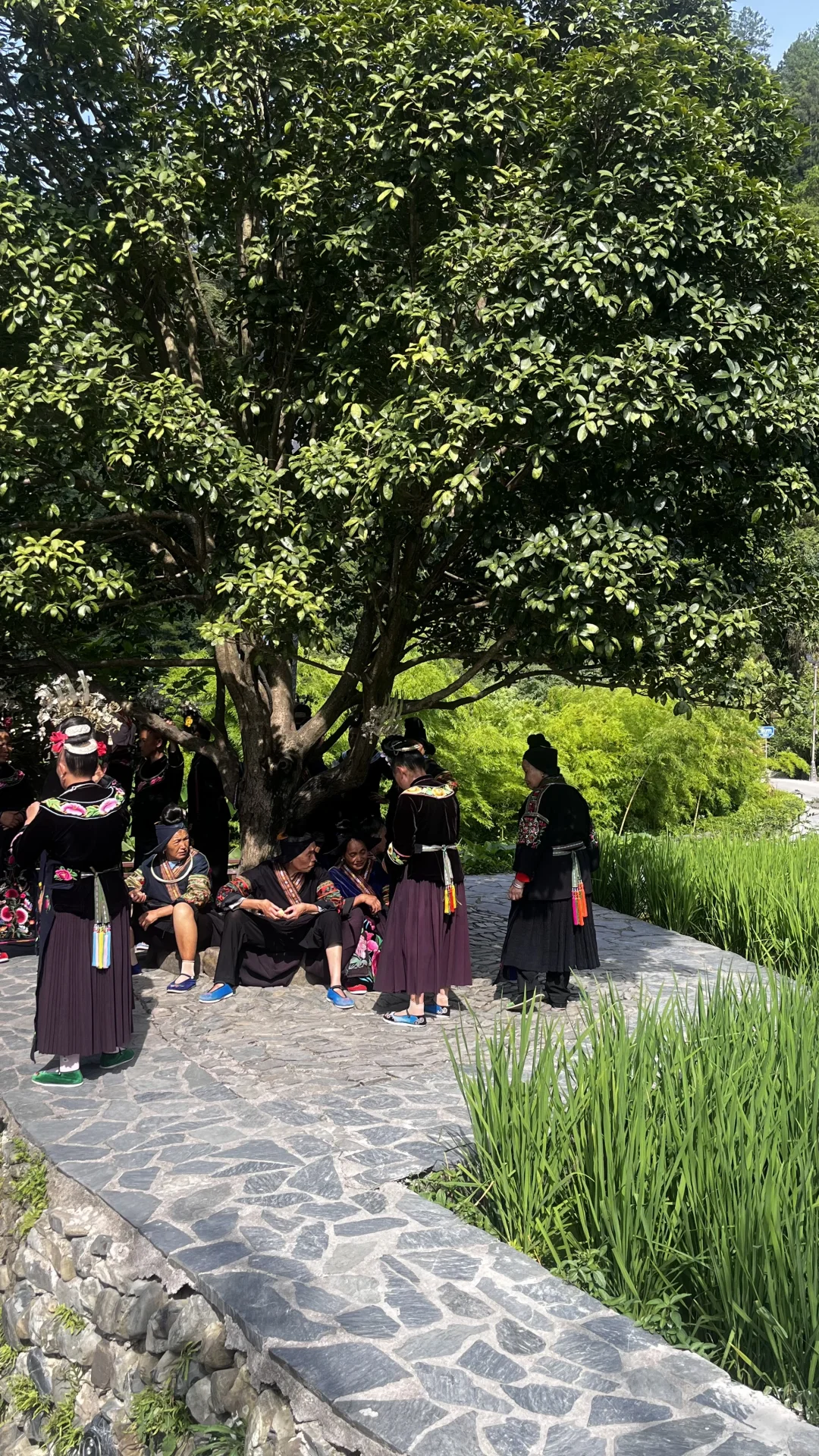 在国内旅游,真的需要有非常强大的屏蔽力