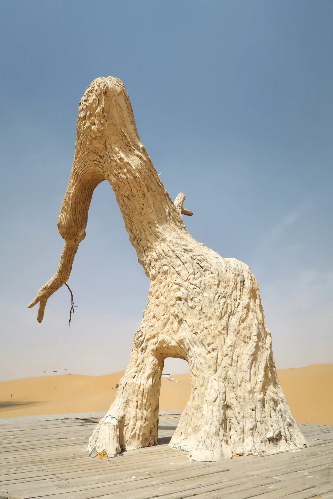 成都🚄出发乌海 | 一半沙漠一半海