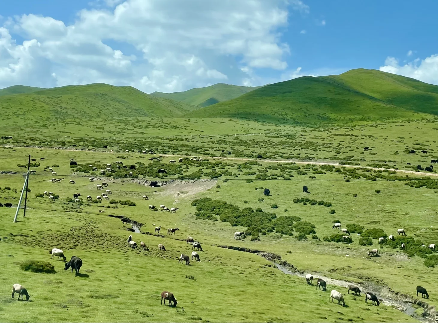 ✈️5个适合7-8月夏天避暑旅行地,你去了几个