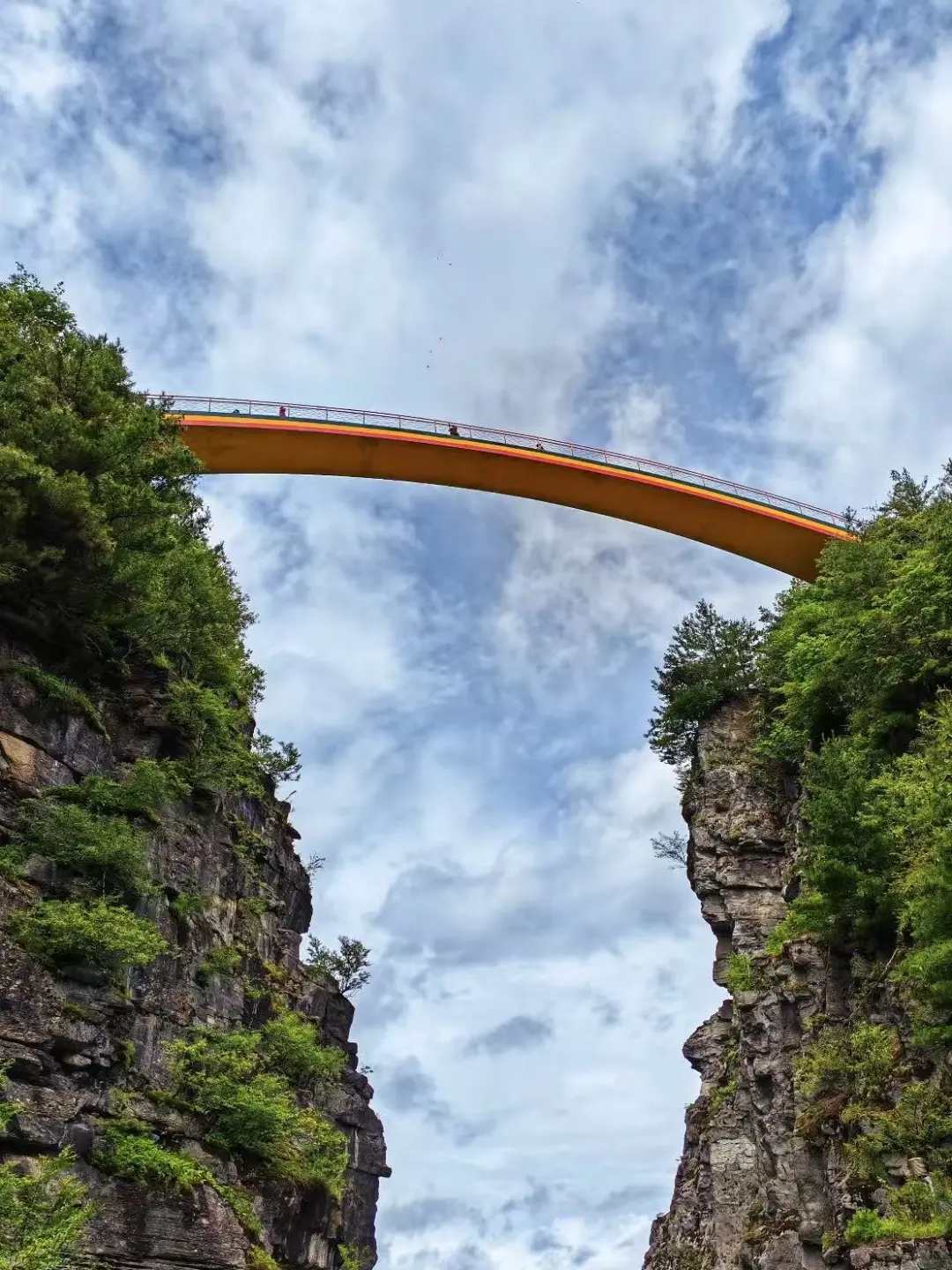 夏日限定 🍃神农架徒步避世指南🧭