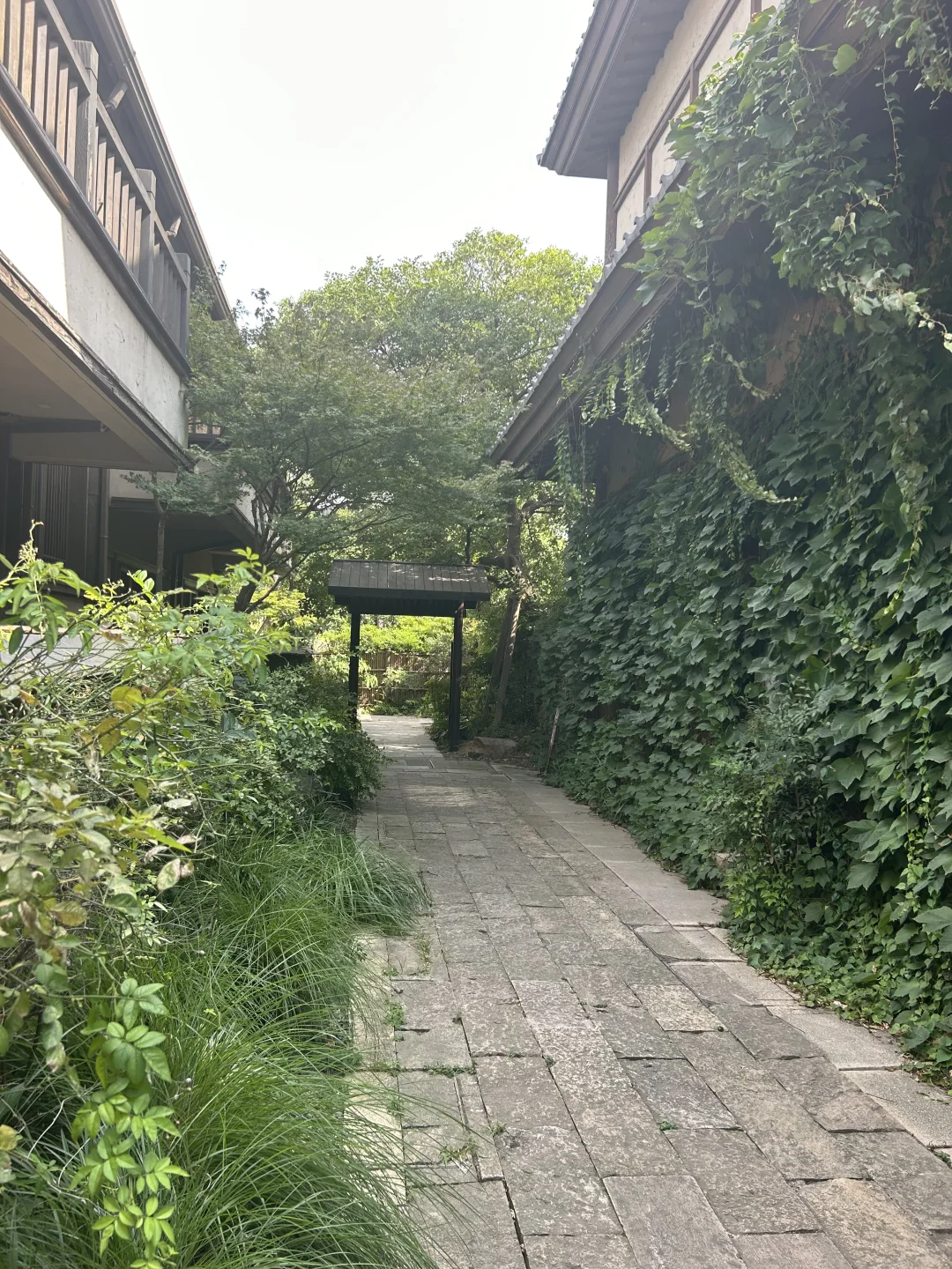 夏日避暑胜地~拈花湾