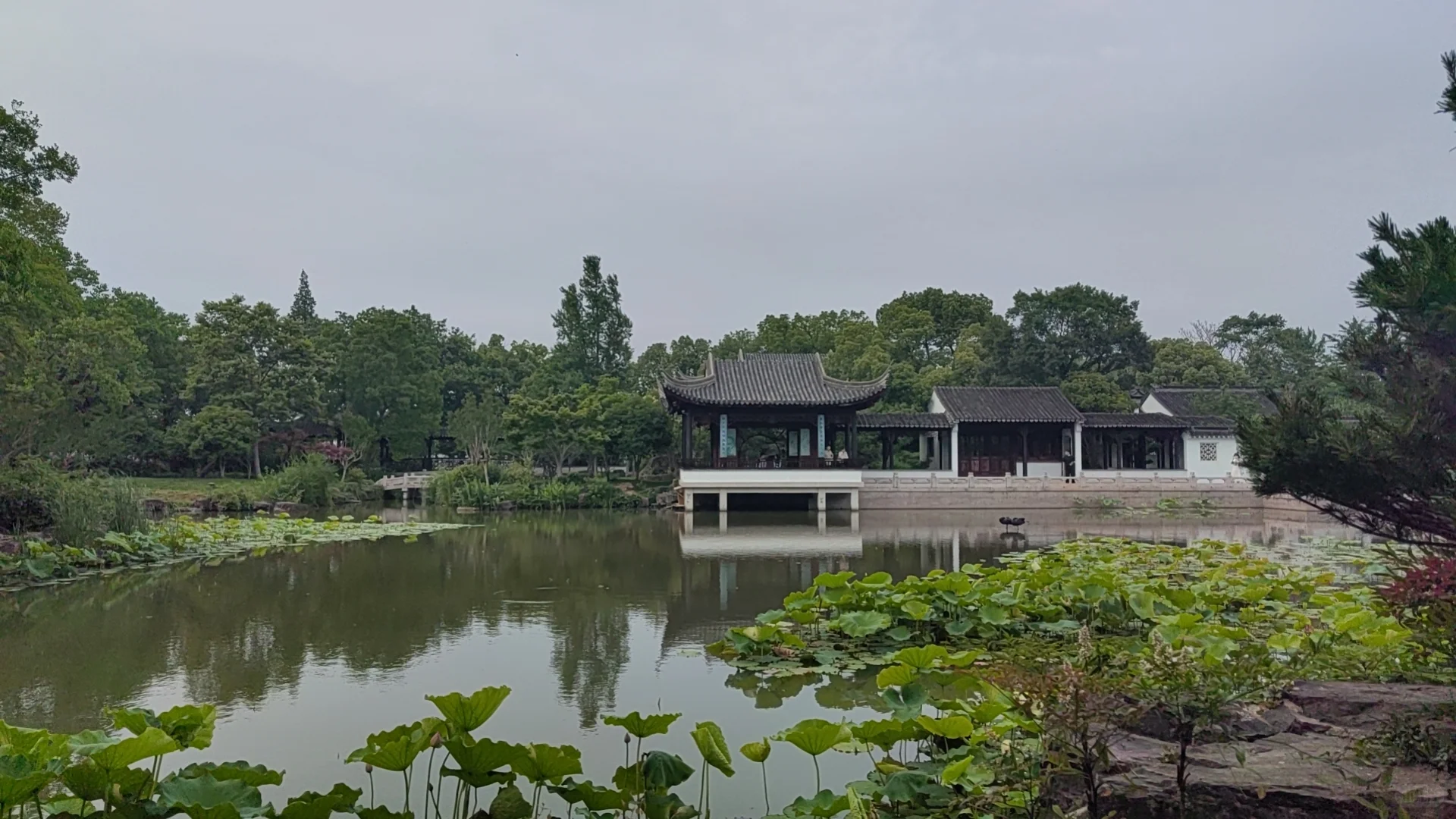 去苏州旅游,结果在景区里睡着