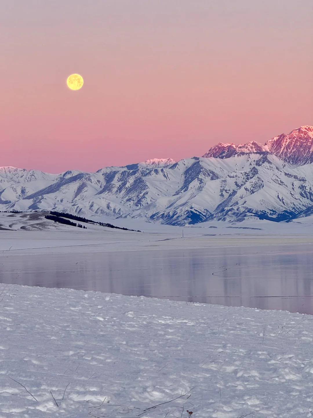 在赛里木湖拍到了我的人生live📷