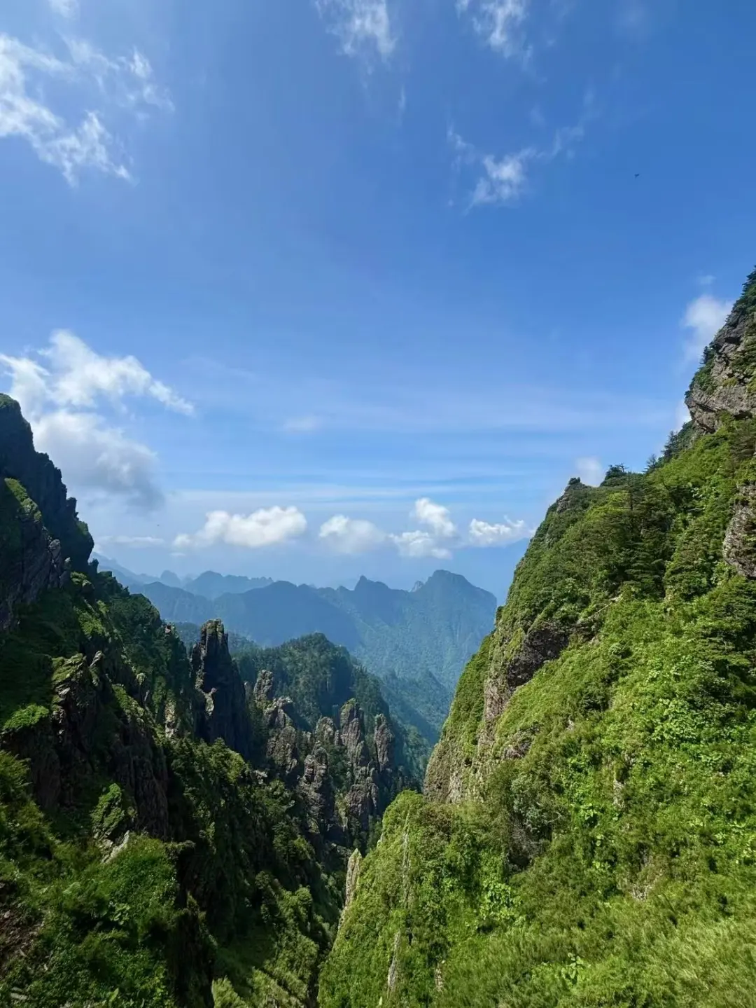 夏日限定 🍃神农架徒步避世指南🧭