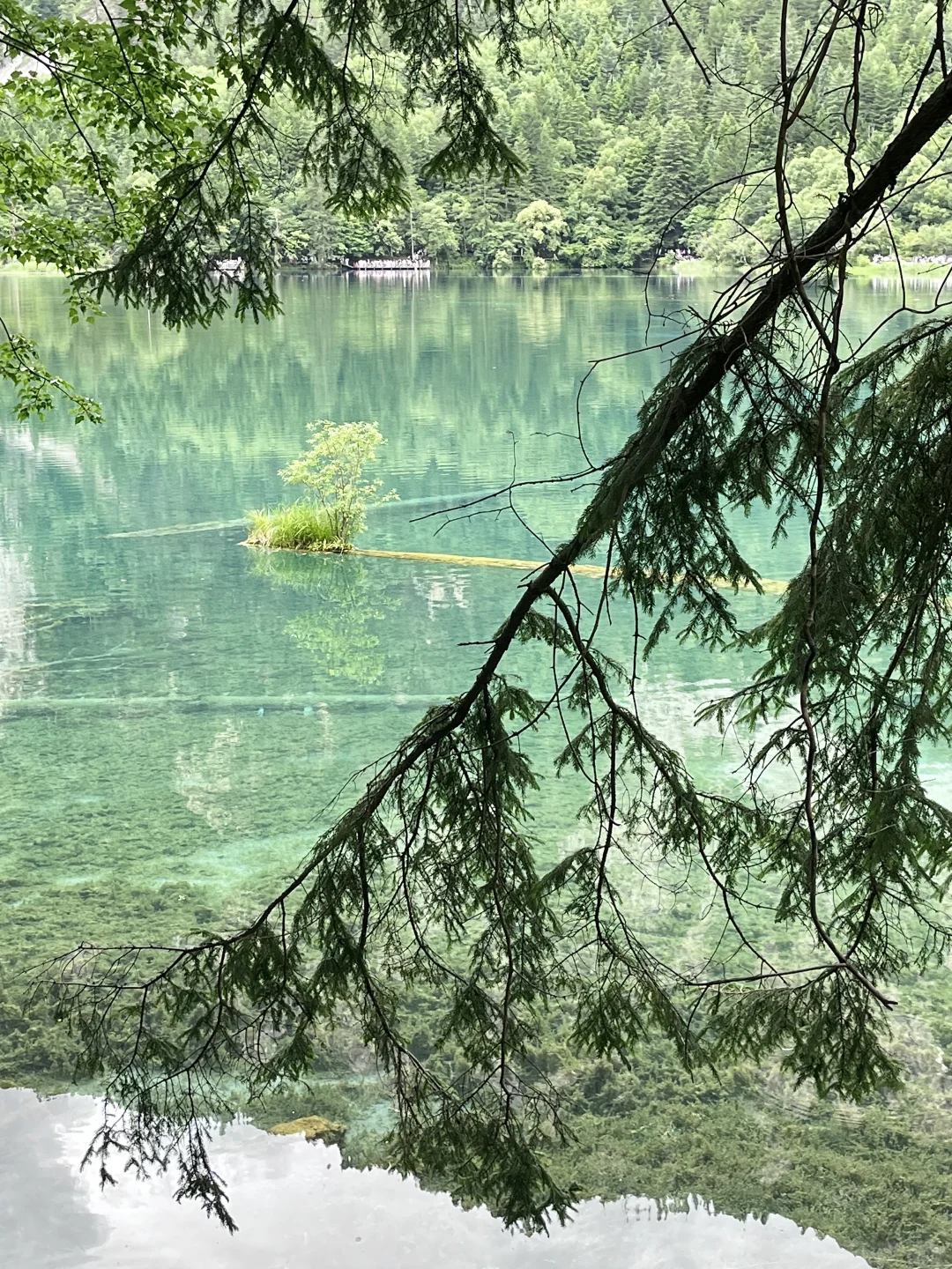📍九寨沟｜真的值得作为毕业旅行第一站吗✈️