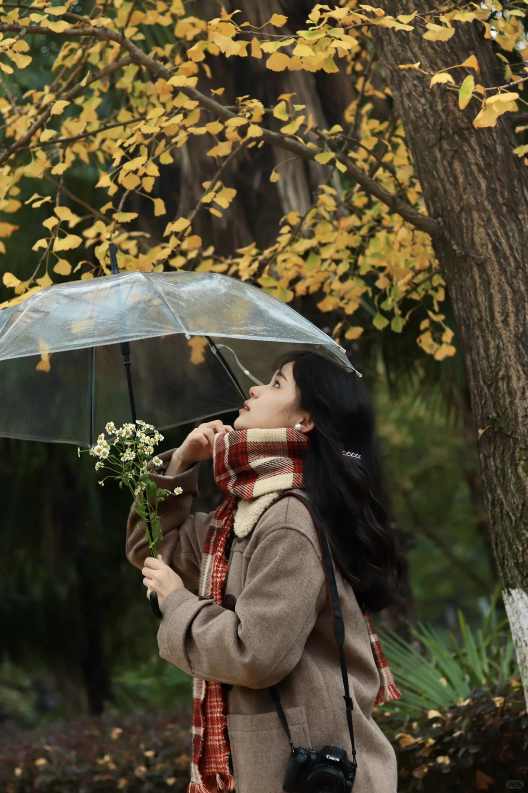 绍兴个人行找旅游搭子！女孩子👧