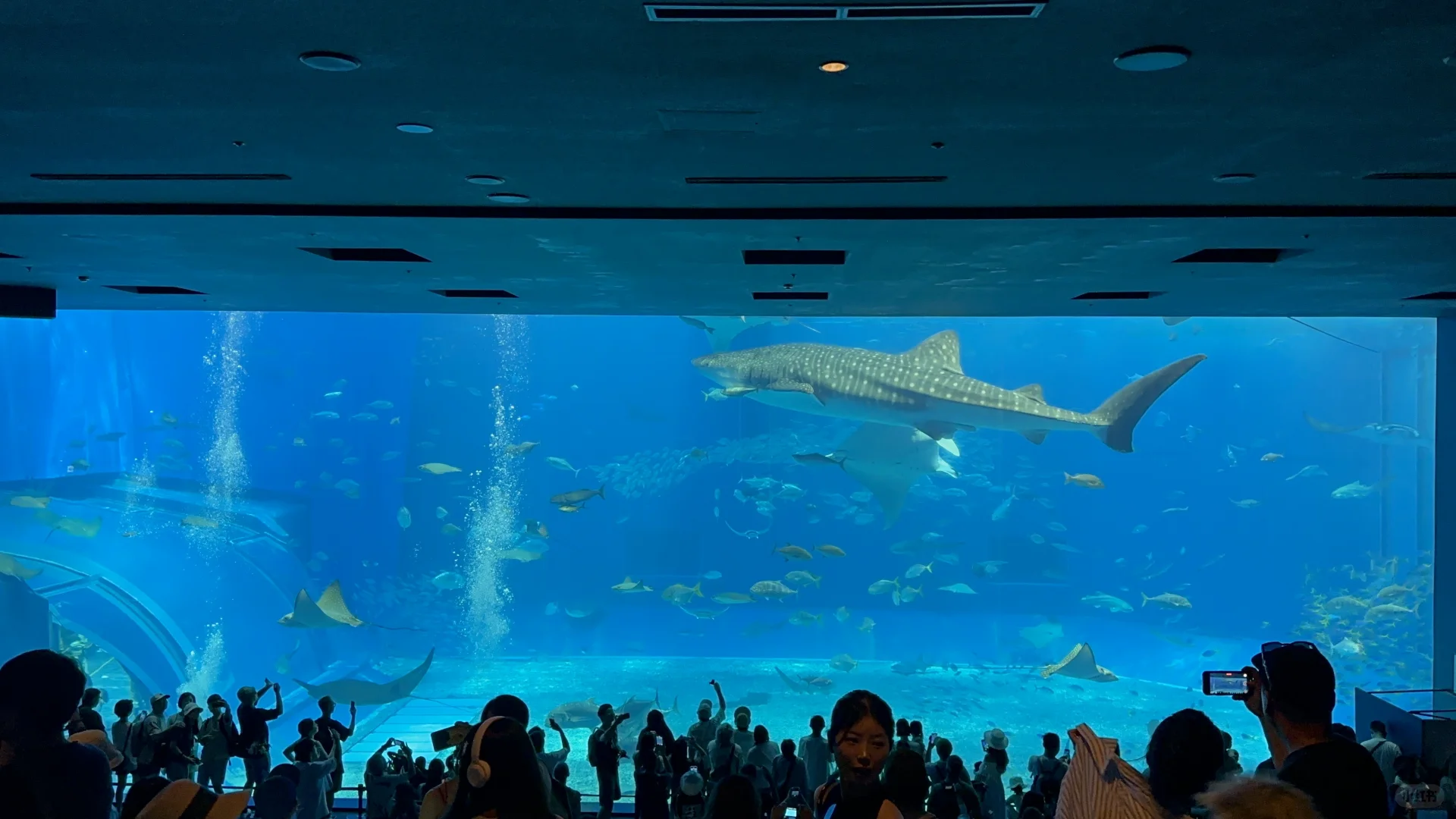 🧩碎碎念无保留分享冲绳旅游攻略😆