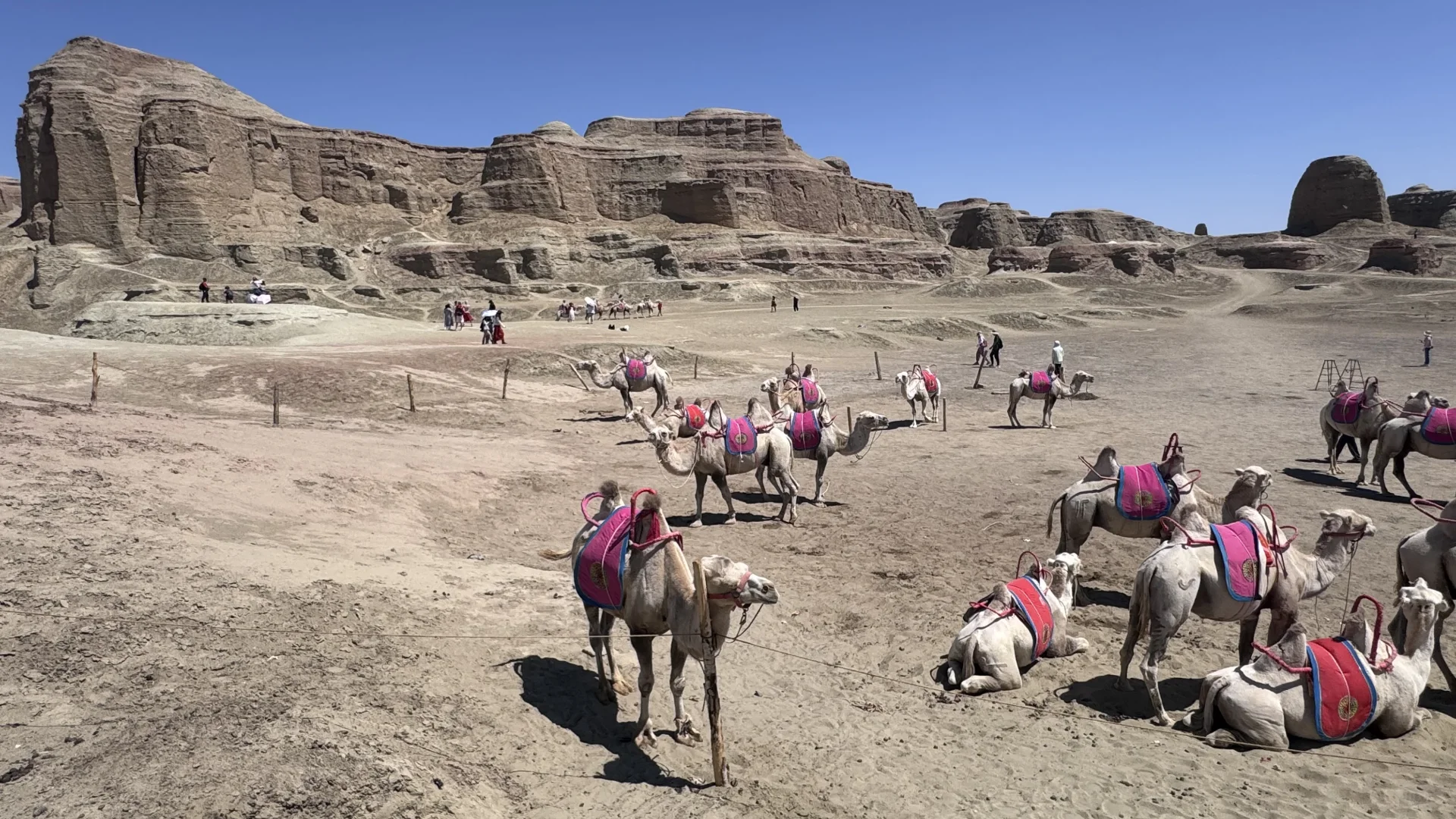 我们应该在哪见过📜