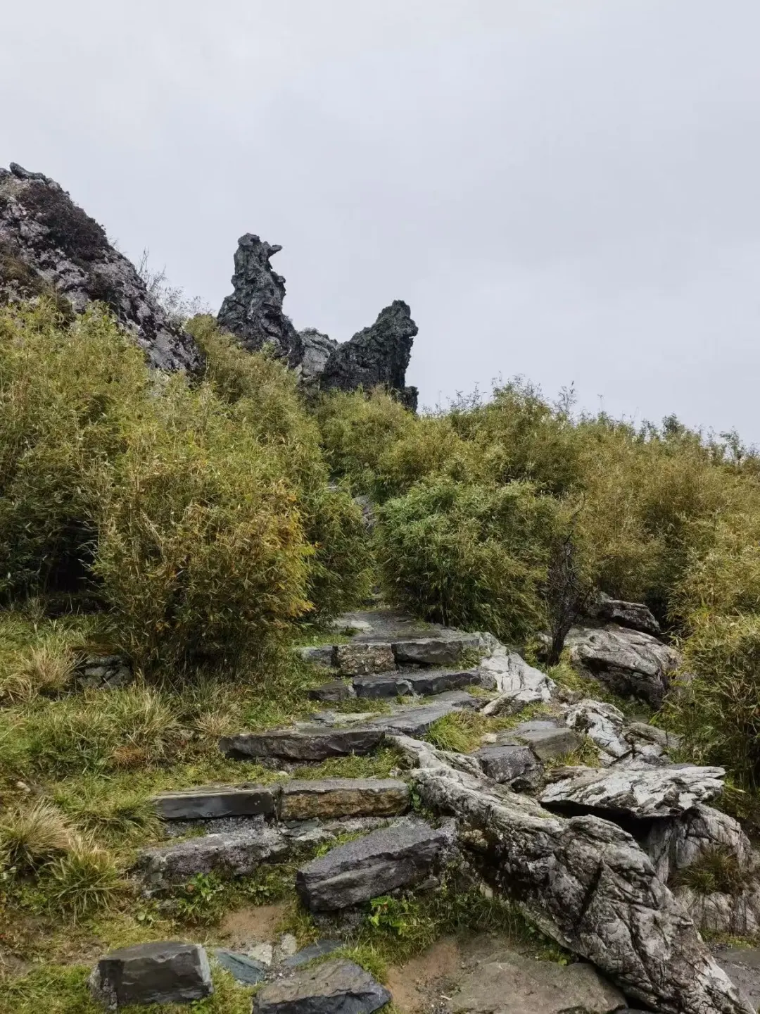 夏日限定 🍃神农架徒步避世指南🧭