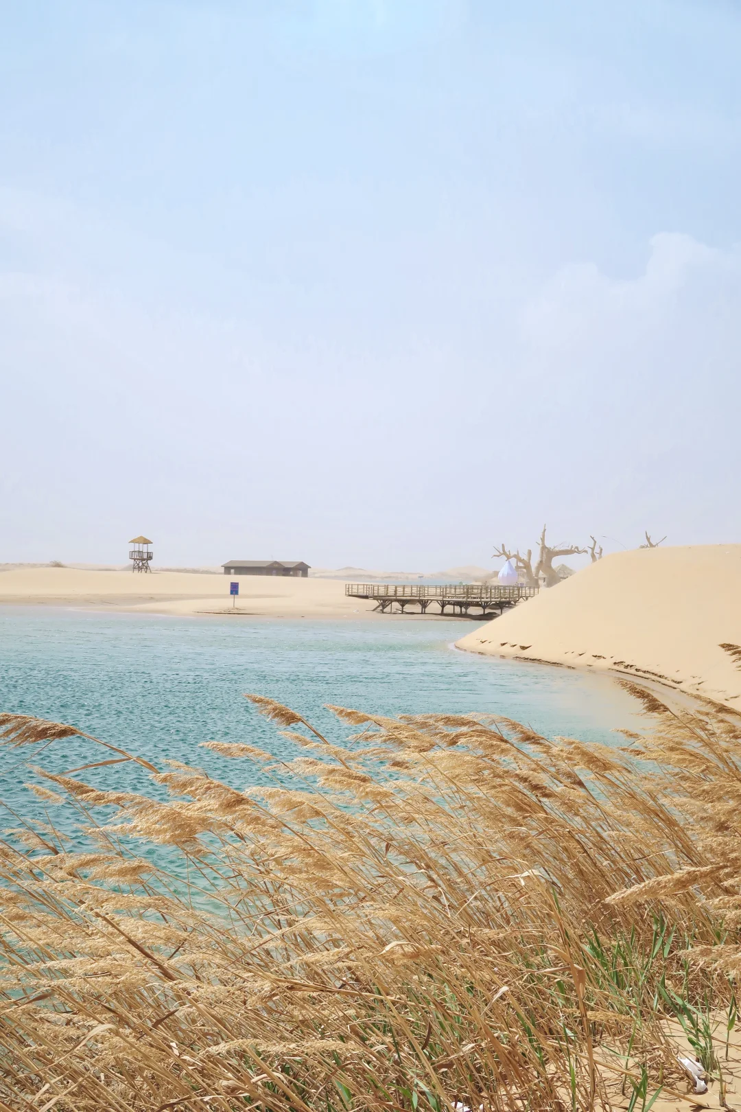 成都🚄出发乌海 | 一半沙漠一半海