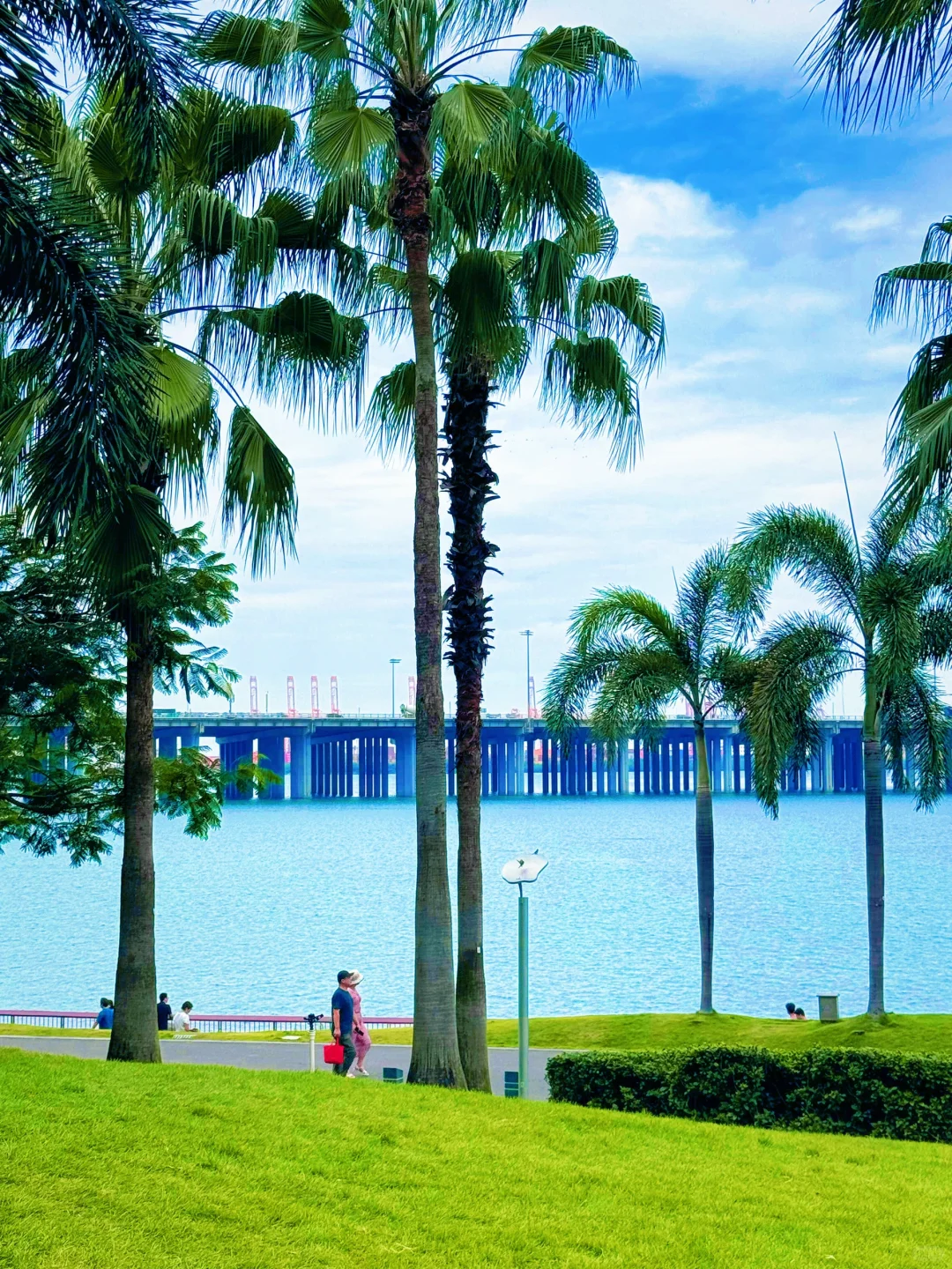 深圳旅游攻略,看这篇就够