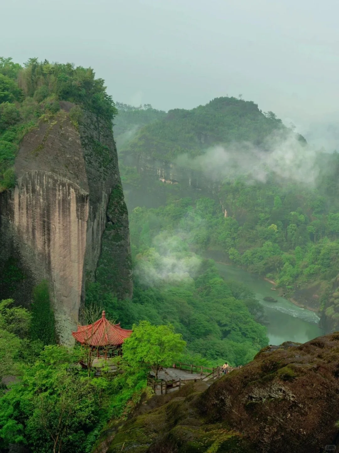 被低估的宝藏小城｜世界自然遗产⛰武夷山