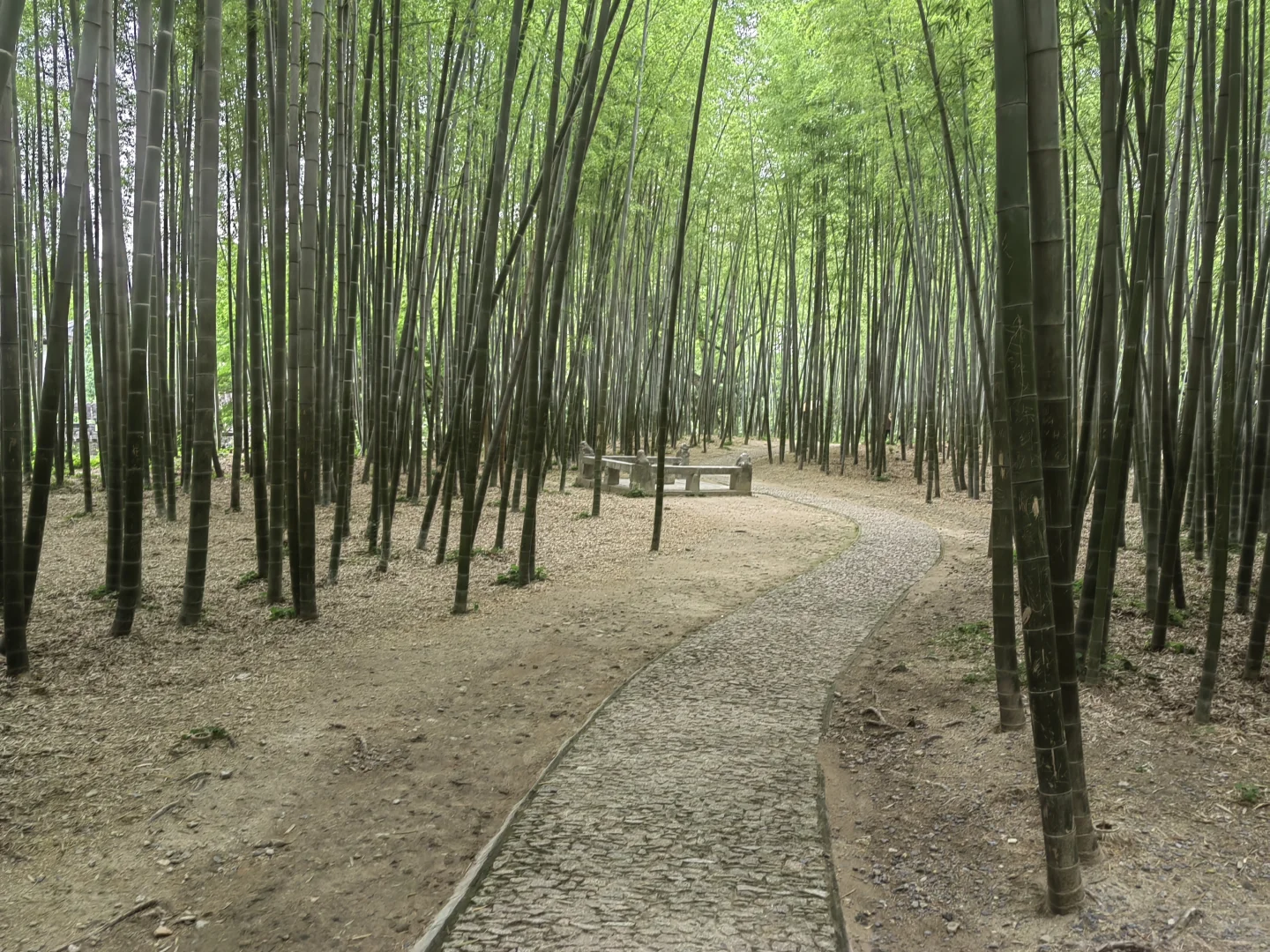 去苏州旅游,结果在景区里睡着