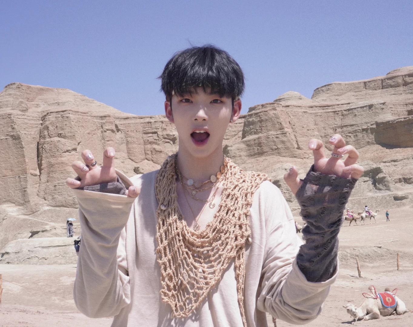 我们应该在哪见过📜