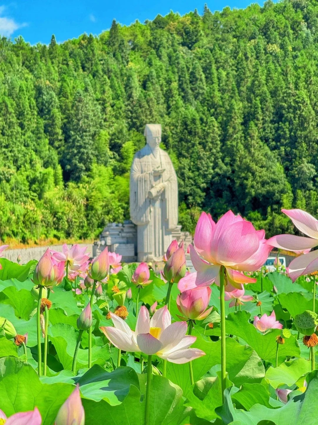 被低估的宝藏小城｜世界自然遗产⛰武夷山