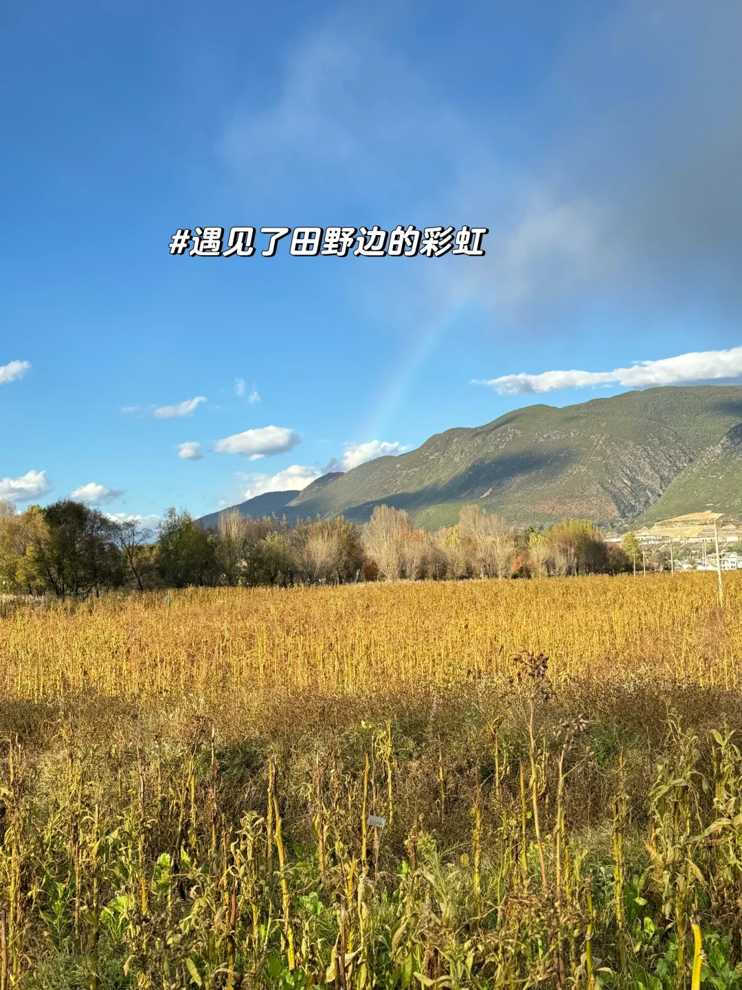 以为大理已经很美了，直到我去了沙溪 live