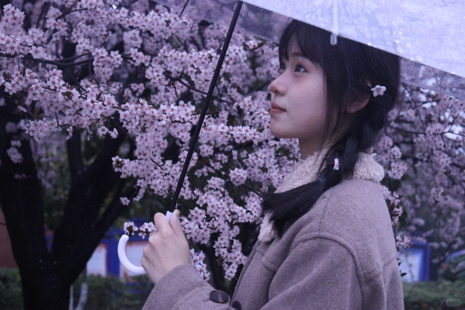 绍兴个人行找旅游搭子！女孩子👧