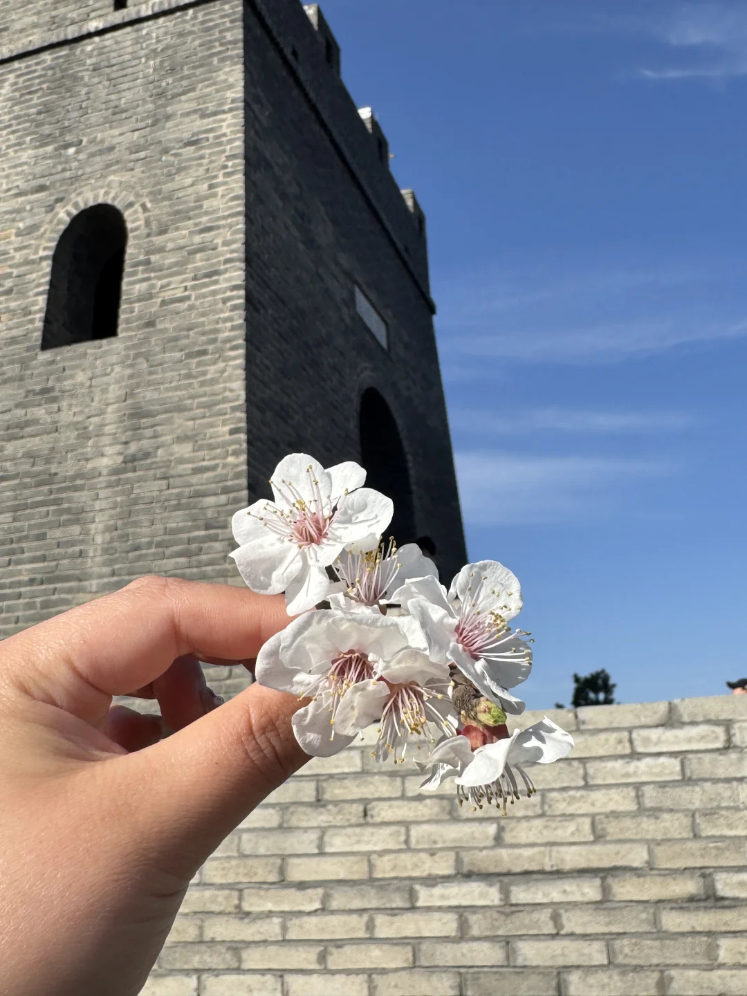 【邯郸小众秘境✨】娲皇宫天路，云端之上的神仙