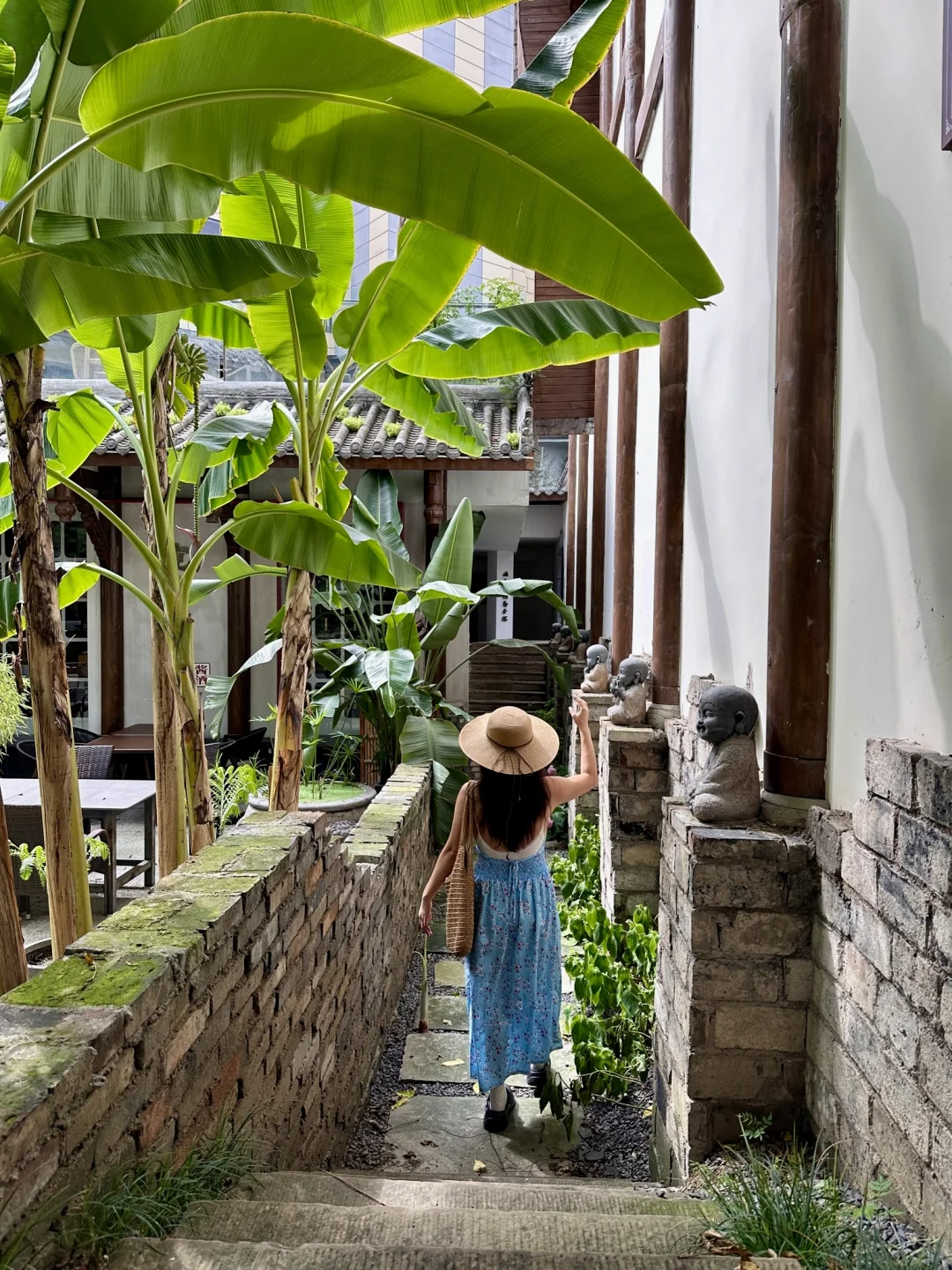 昨天在景区人挤人，今天在贵院独享整片竹林