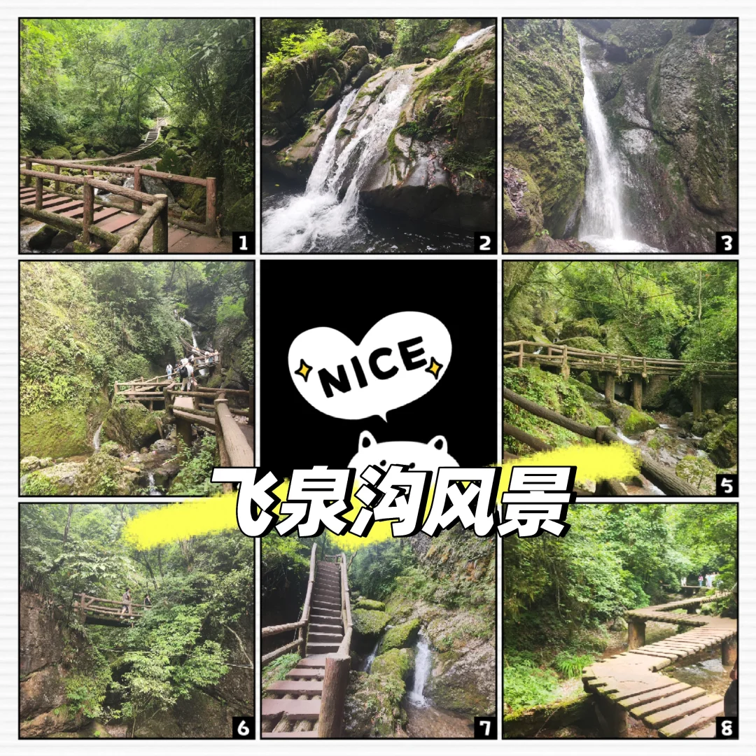 青城后山保姆级攻略来啦，看完直接抄作业