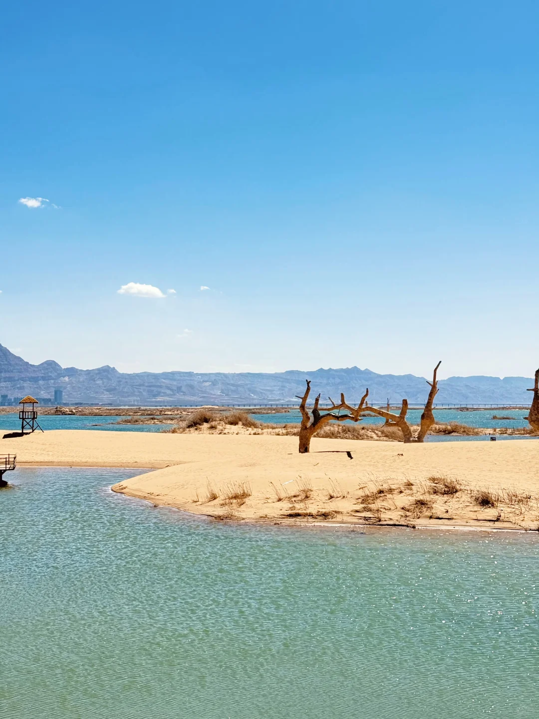 成都🚄出发乌海 | 一半沙漠一半海