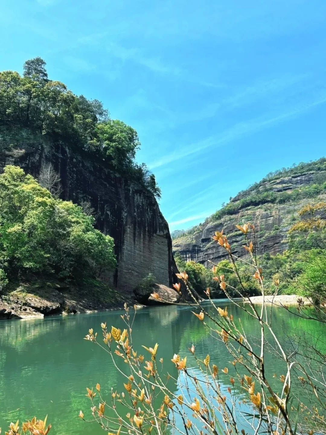被低估的宝藏小城｜世界自然遗产⛰武夷山