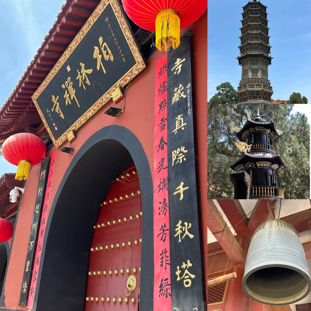 别管 反正周末到河北