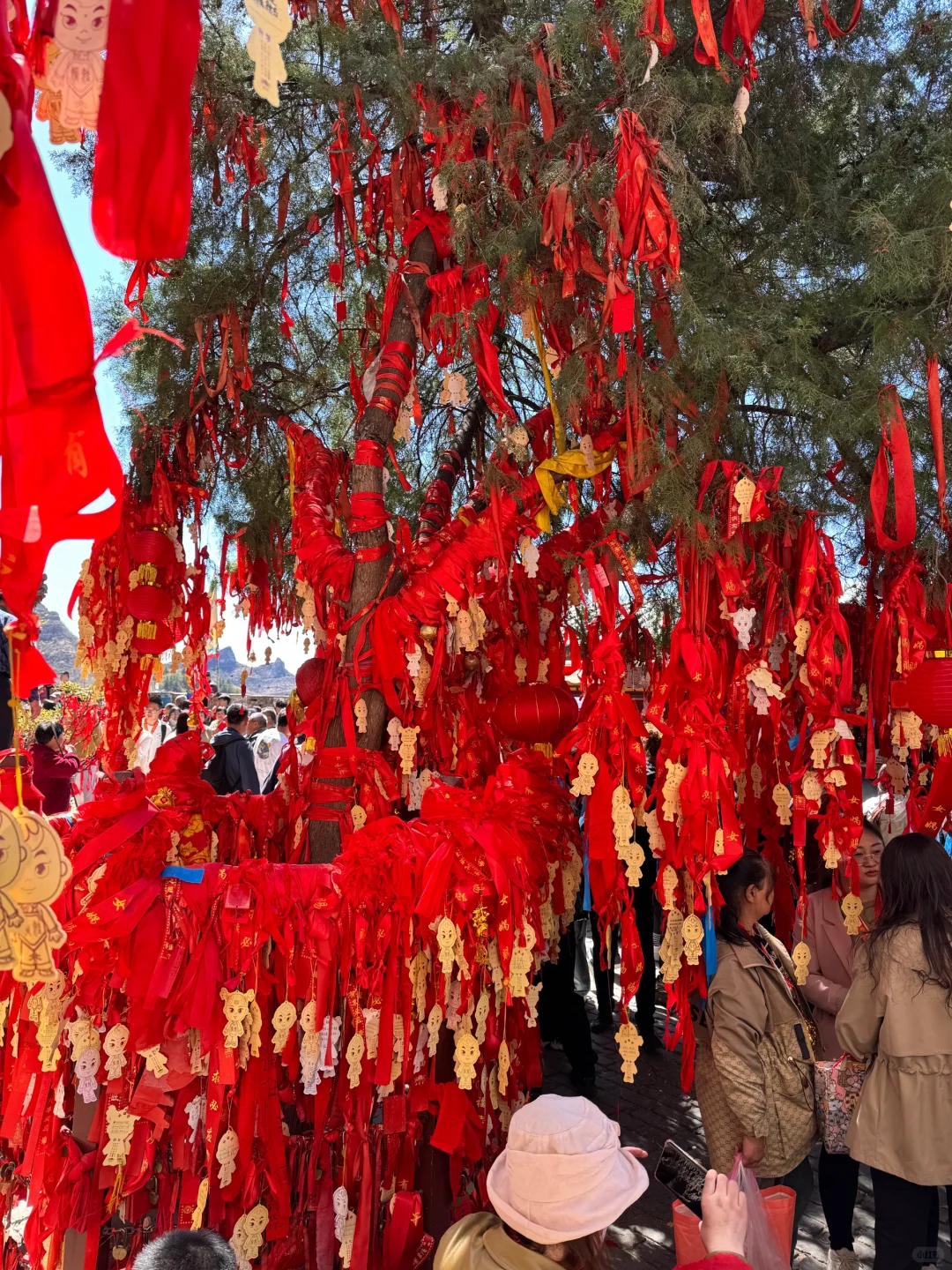 【邯郸小众秘境✨】娲皇宫天路，云端之上的神仙