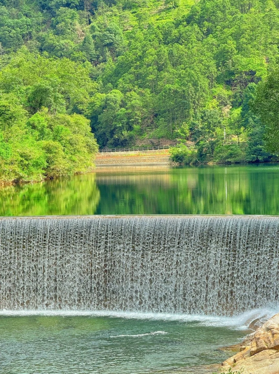 被低估的宝藏小城｜世界自然遗产⛰武夷山