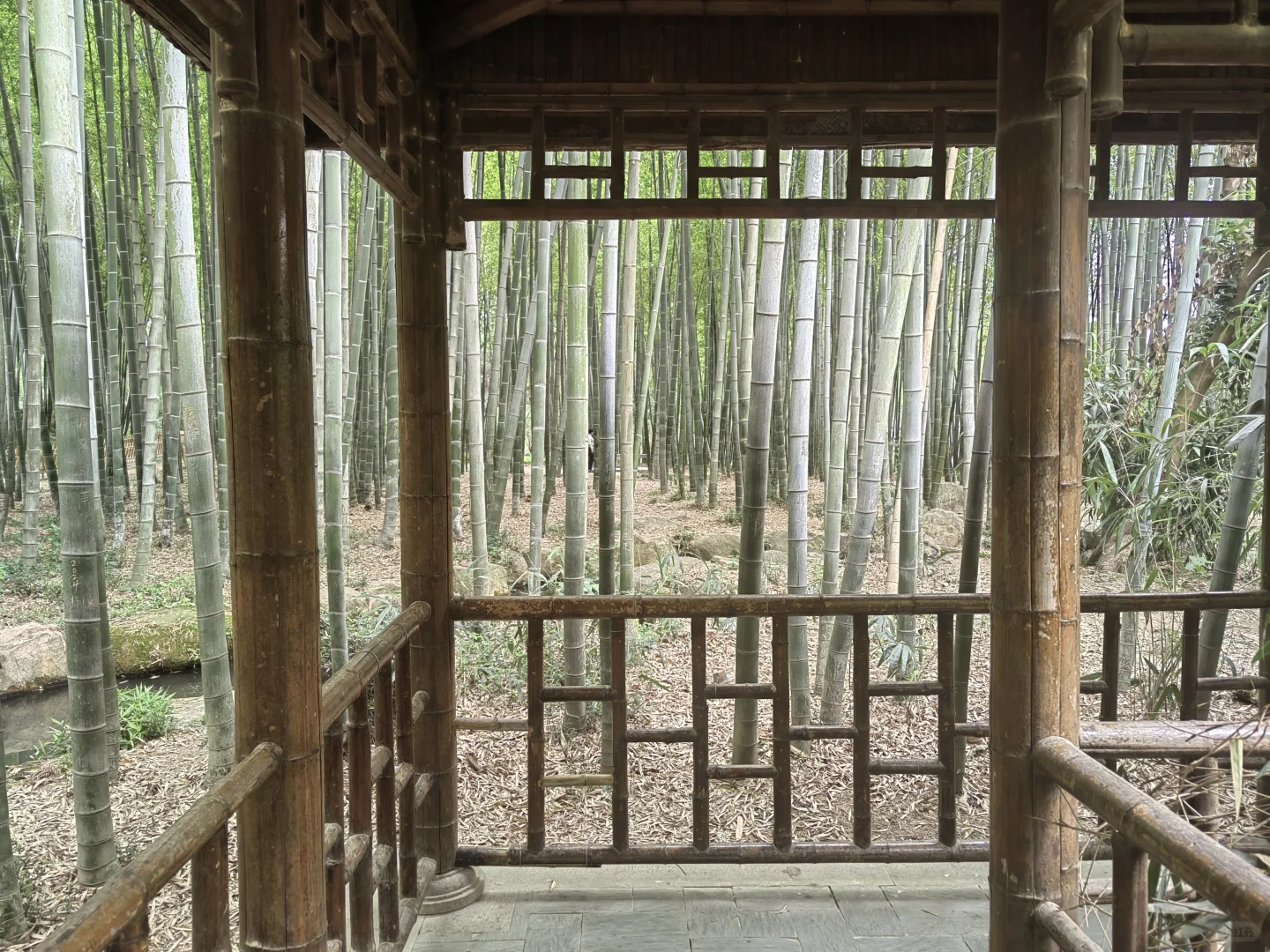 去苏州旅游,结果在景区里睡着