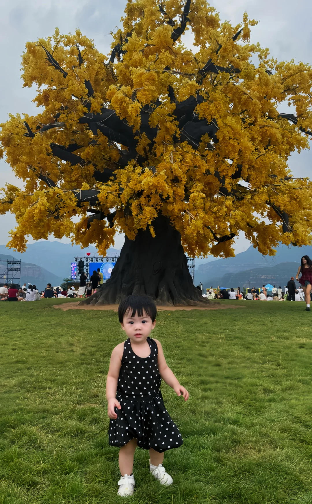 带15月龄宝宝勇闯太行五指山