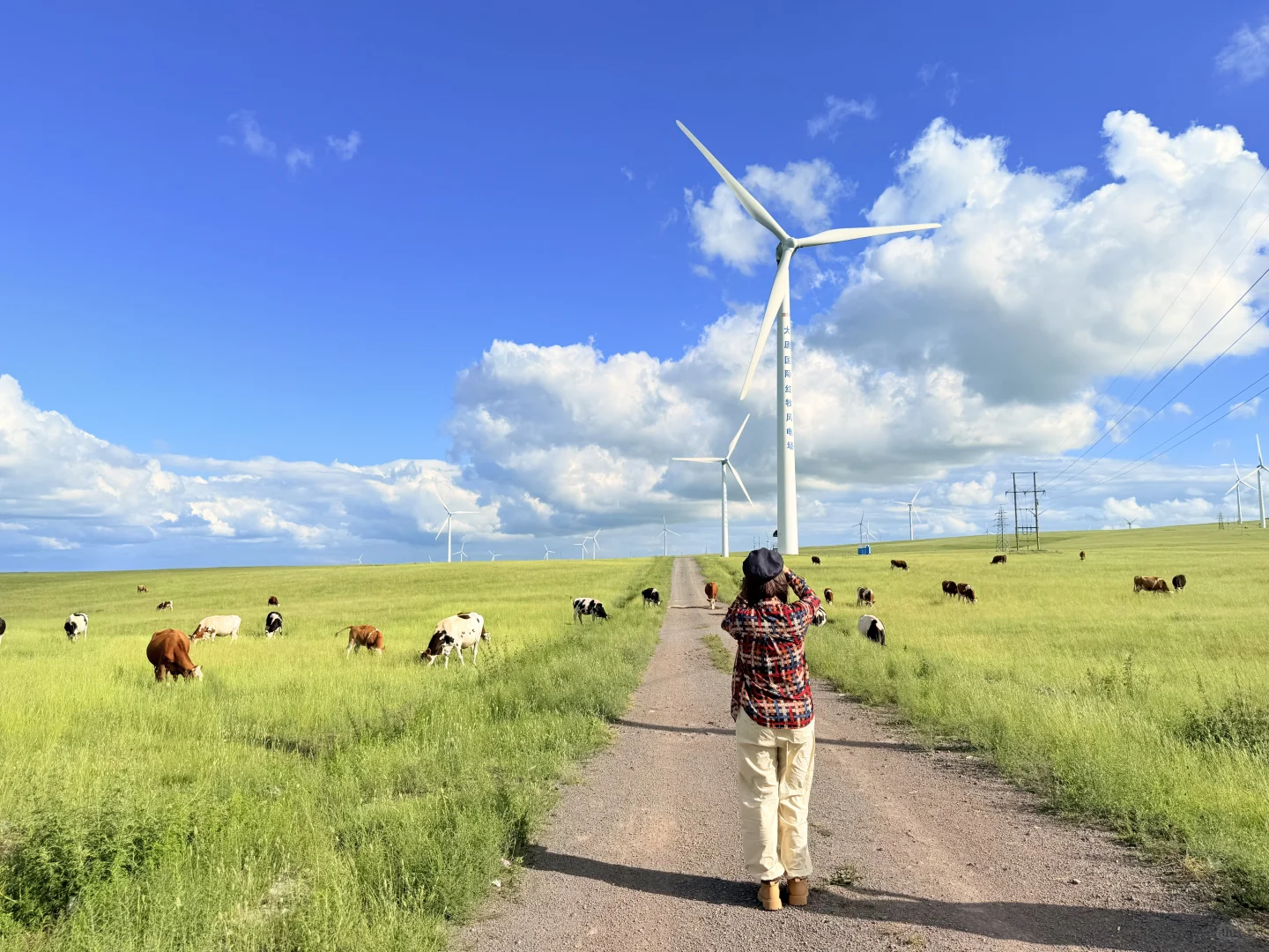 大胆发言！内蒙古是不是可以作为新疆平替