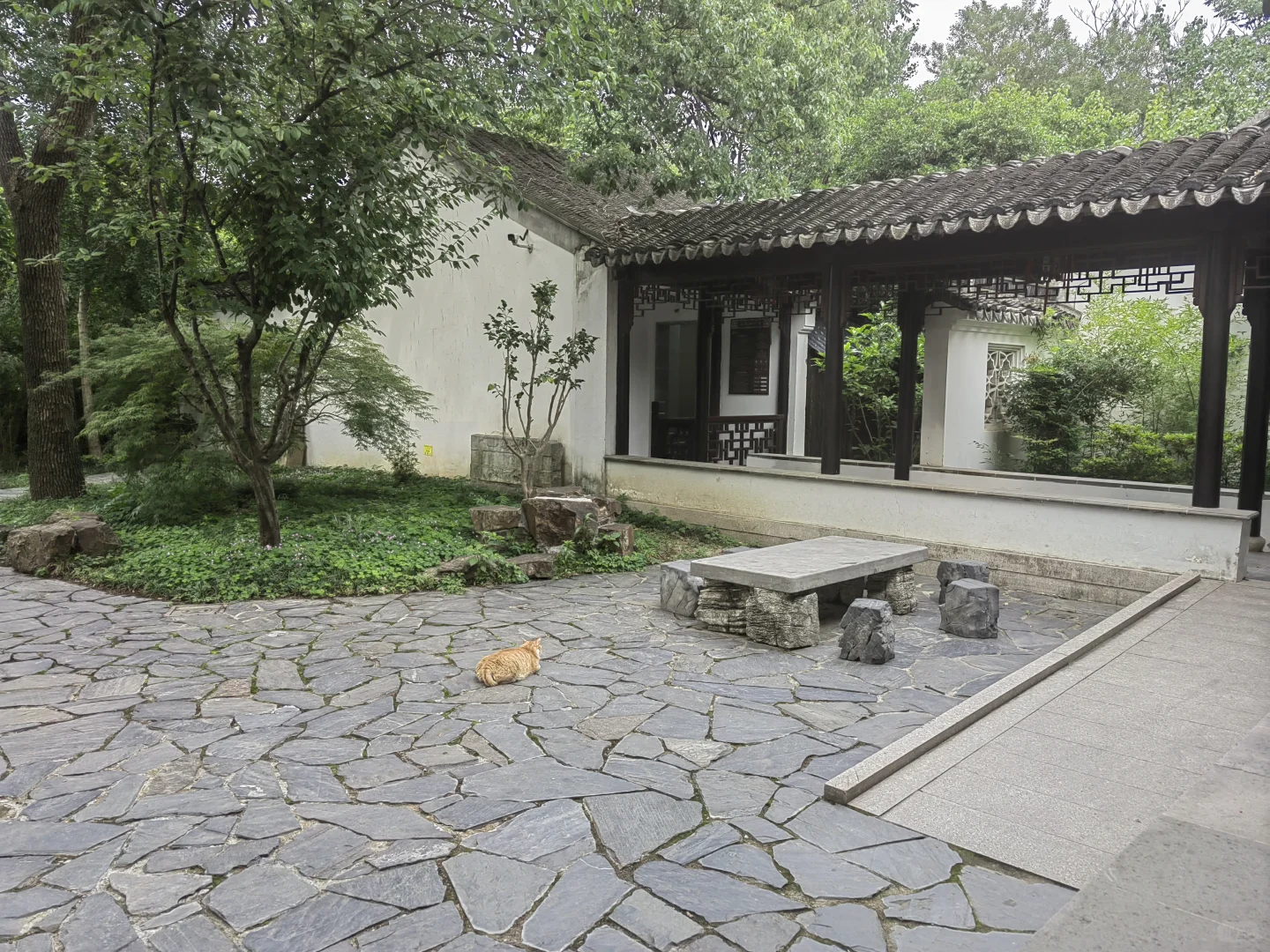 去苏州旅游,结果在景区里睡着