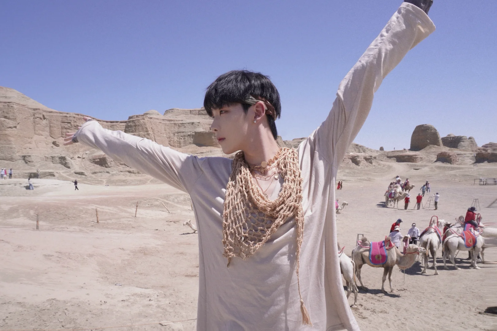 我们应该在哪见过📜