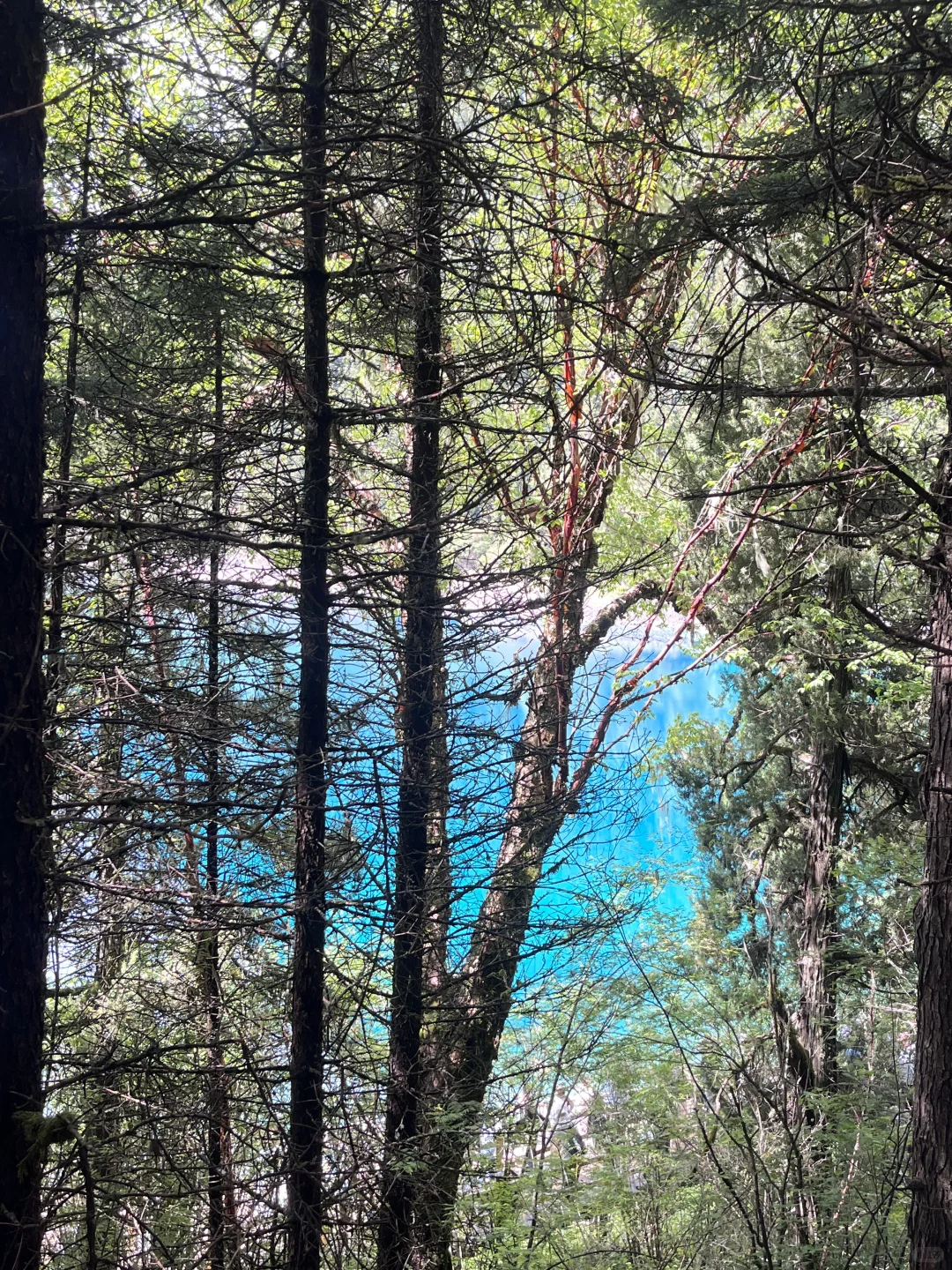 📍九寨沟｜真的值得作为毕业旅行第一站吗✈️