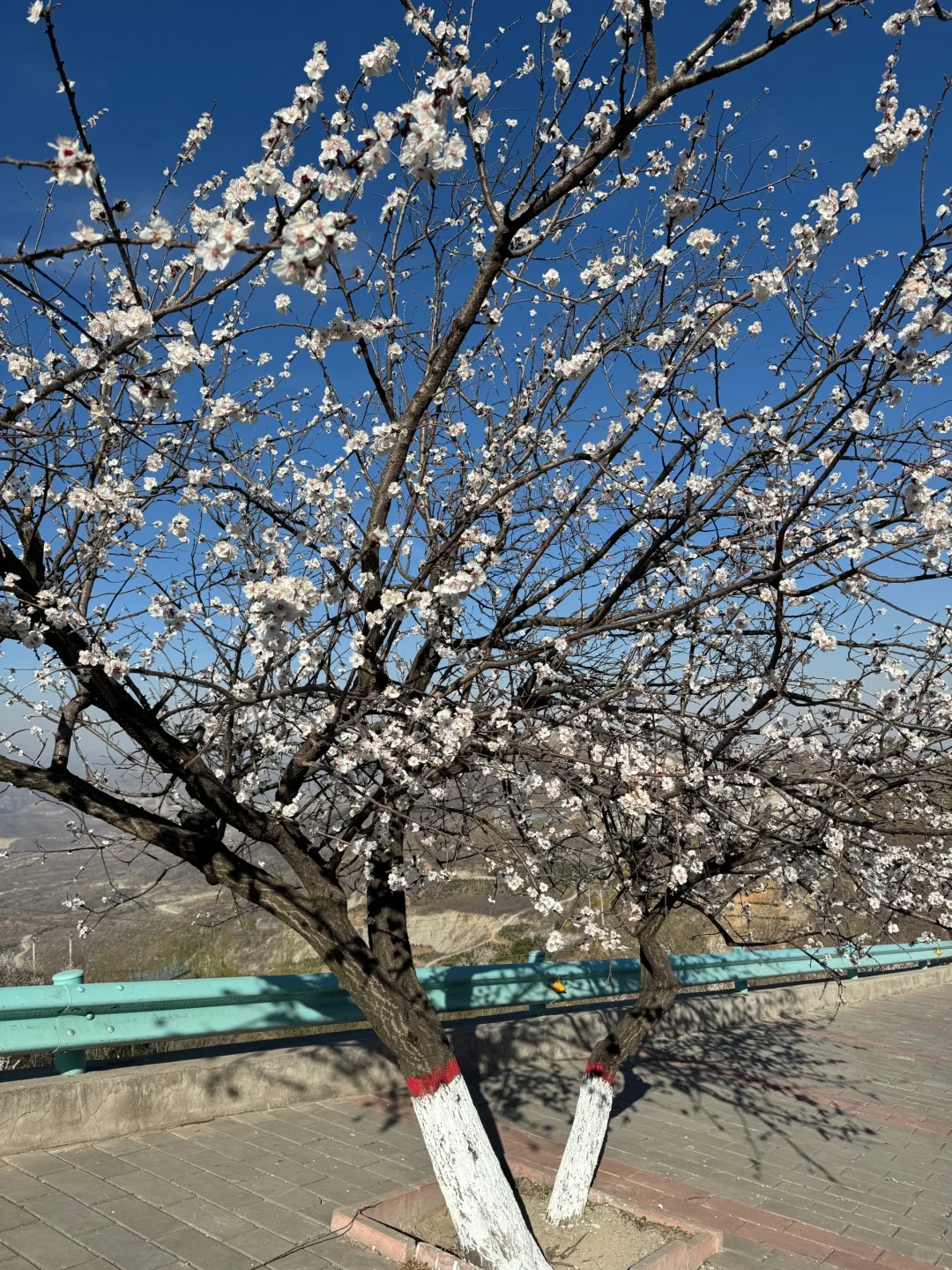 【邯郸小众秘境✨】娲皇宫天路，云端之上的神仙