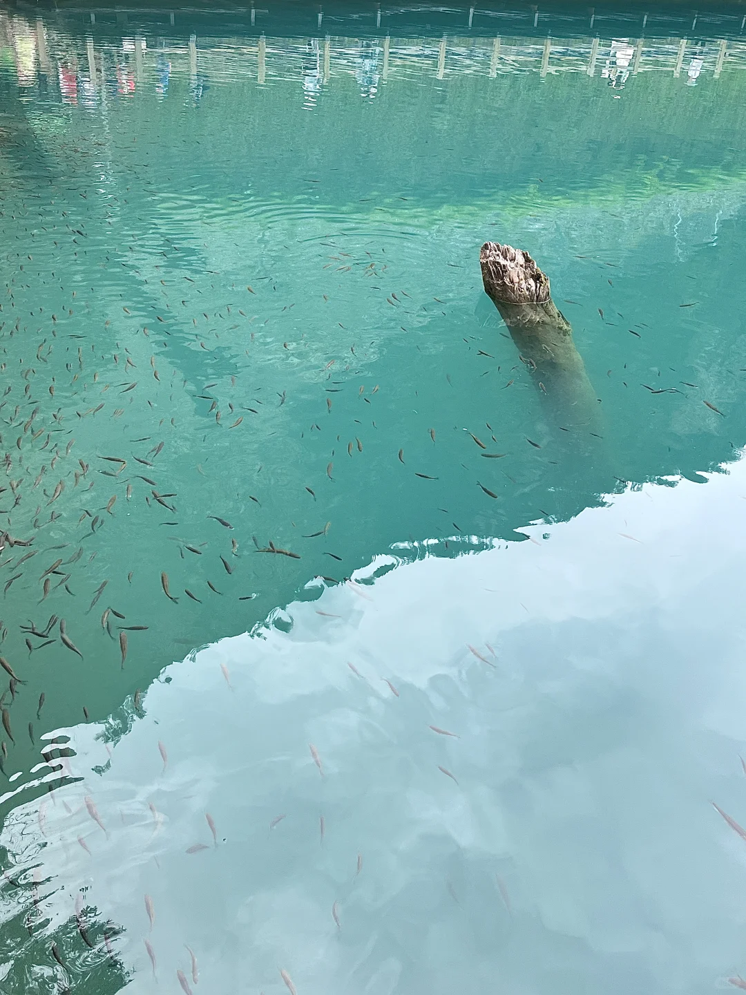 📍九寨沟｜真的值得作为毕业旅行第一站吗✈️