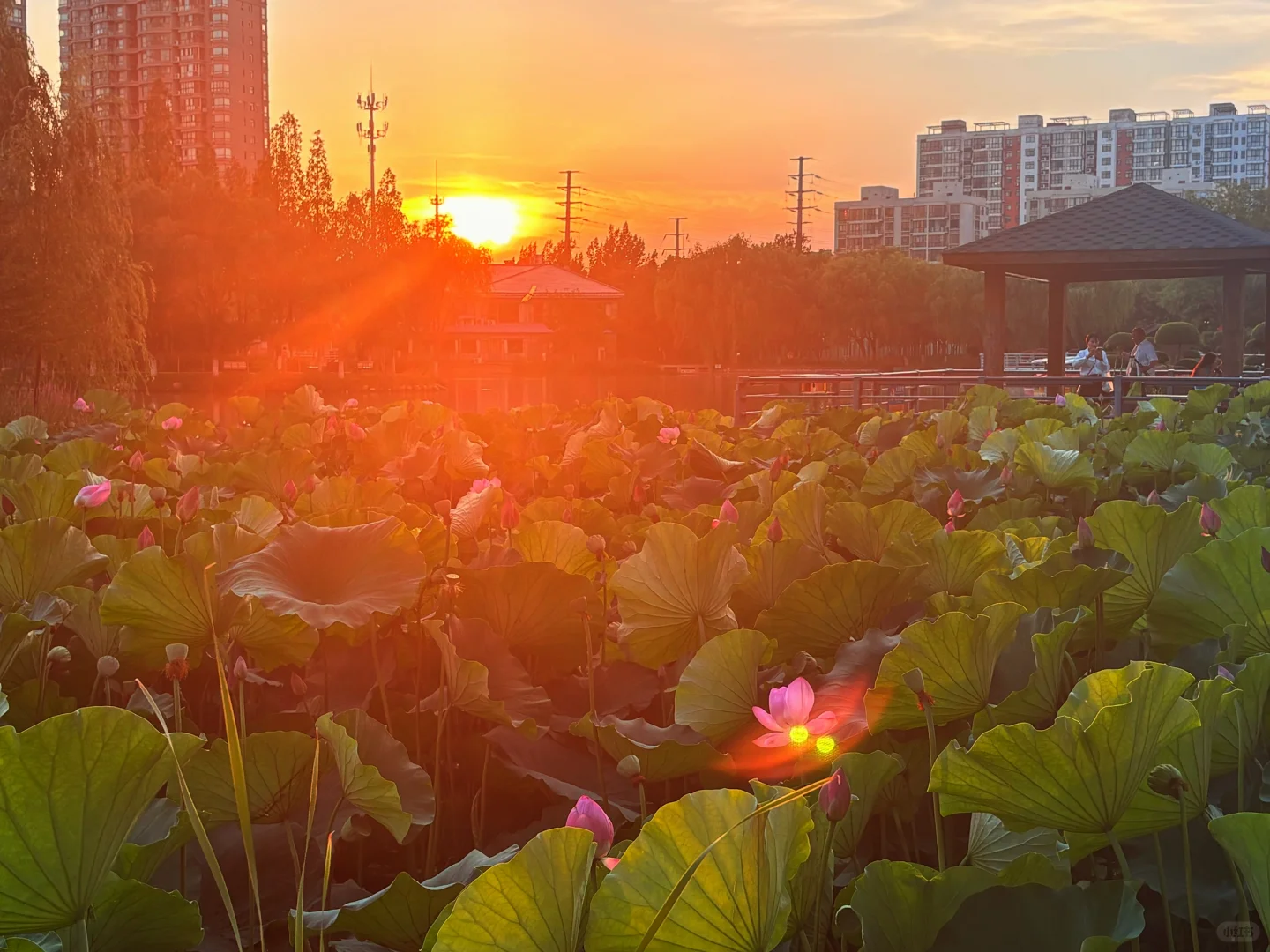 西安🚄到连云港四天三晚亲子旅游攻略