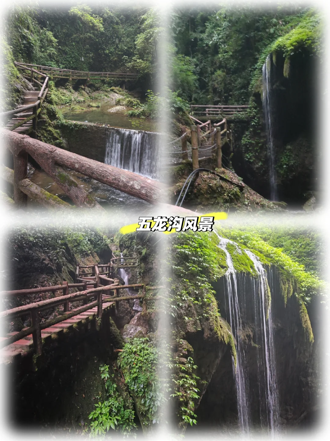 青城后山保姆级攻略来啦，看完直接抄作业