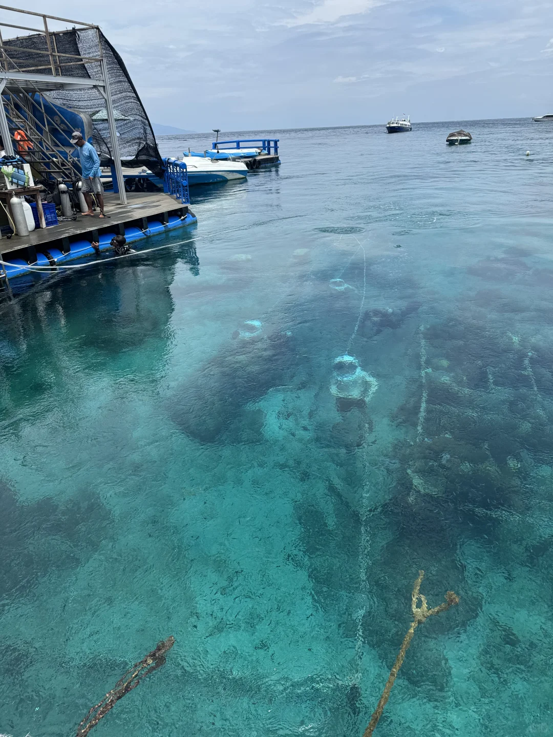 国内哪里有这种海？