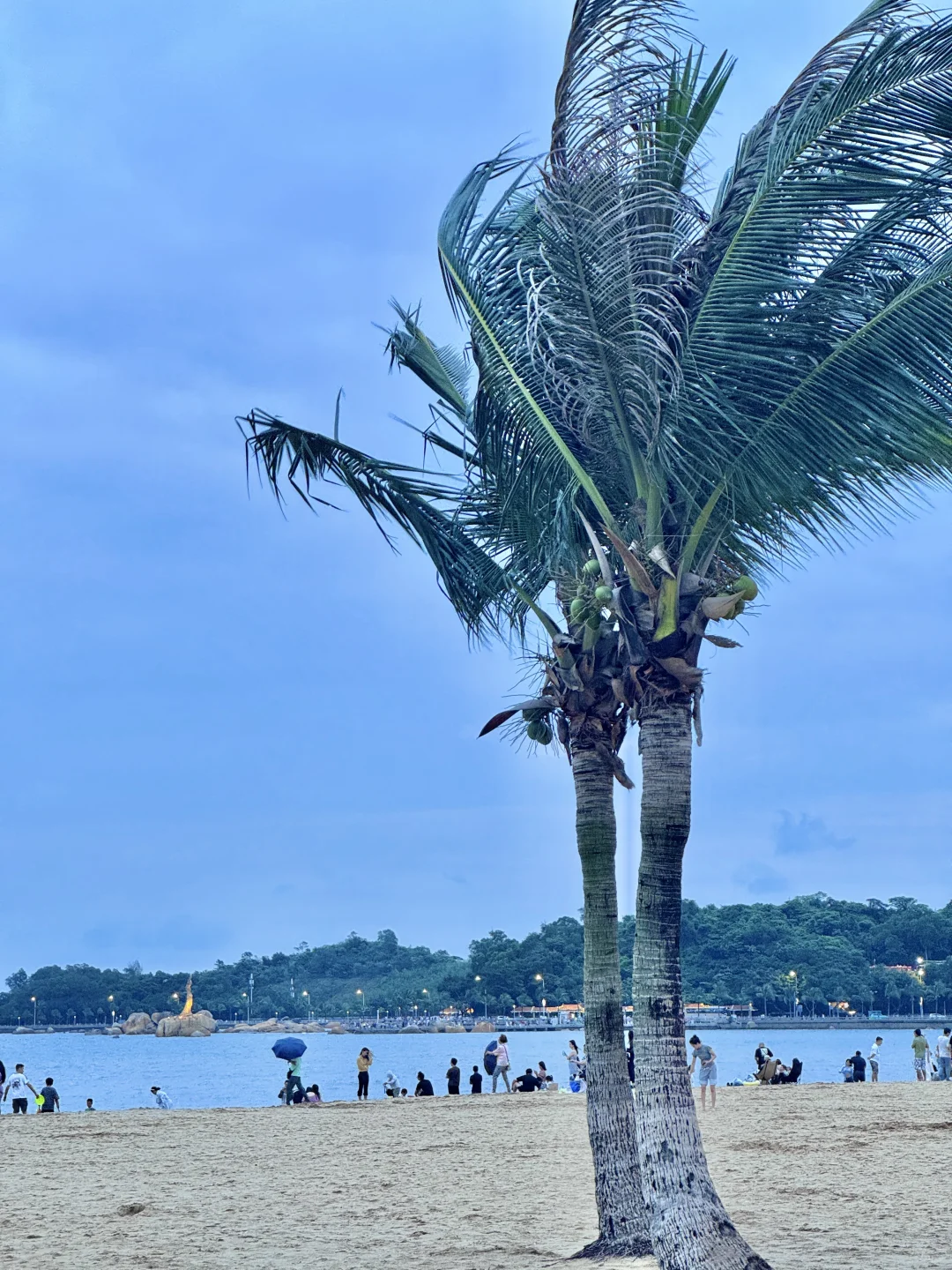 live实况｜车窗外的珠海好适合sea walk