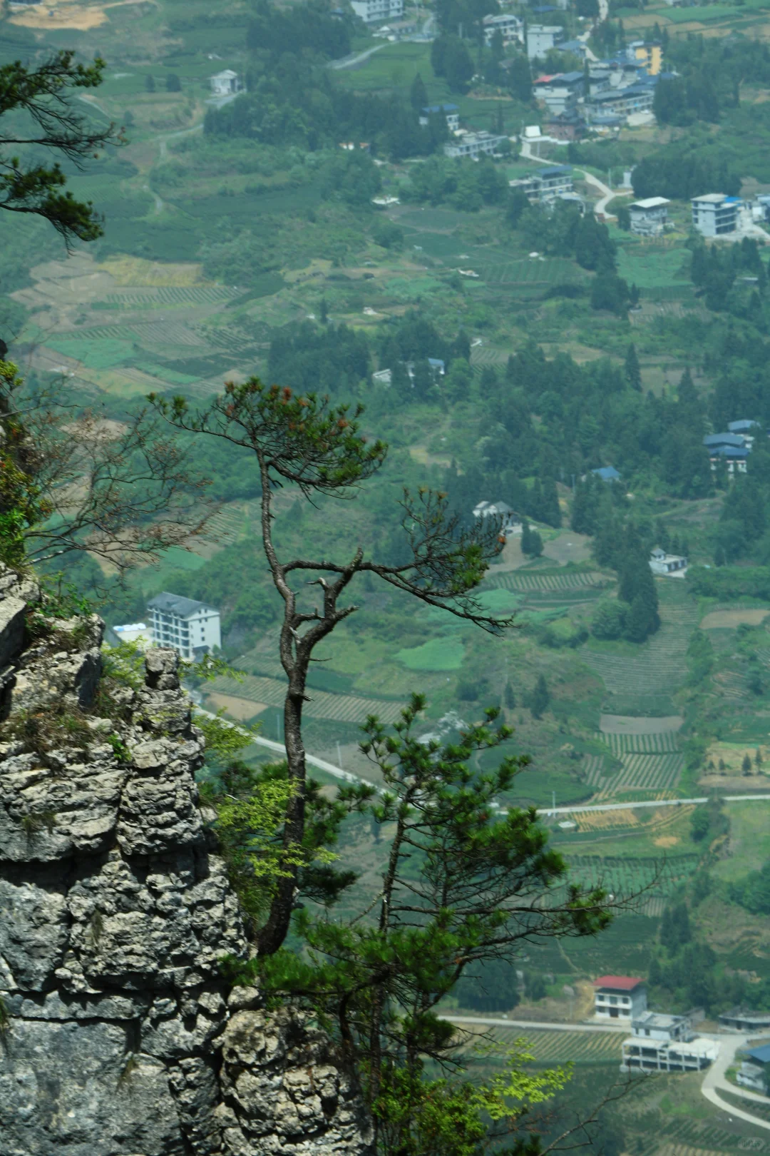 恩施大峡谷｜地球🌍最美伤痕