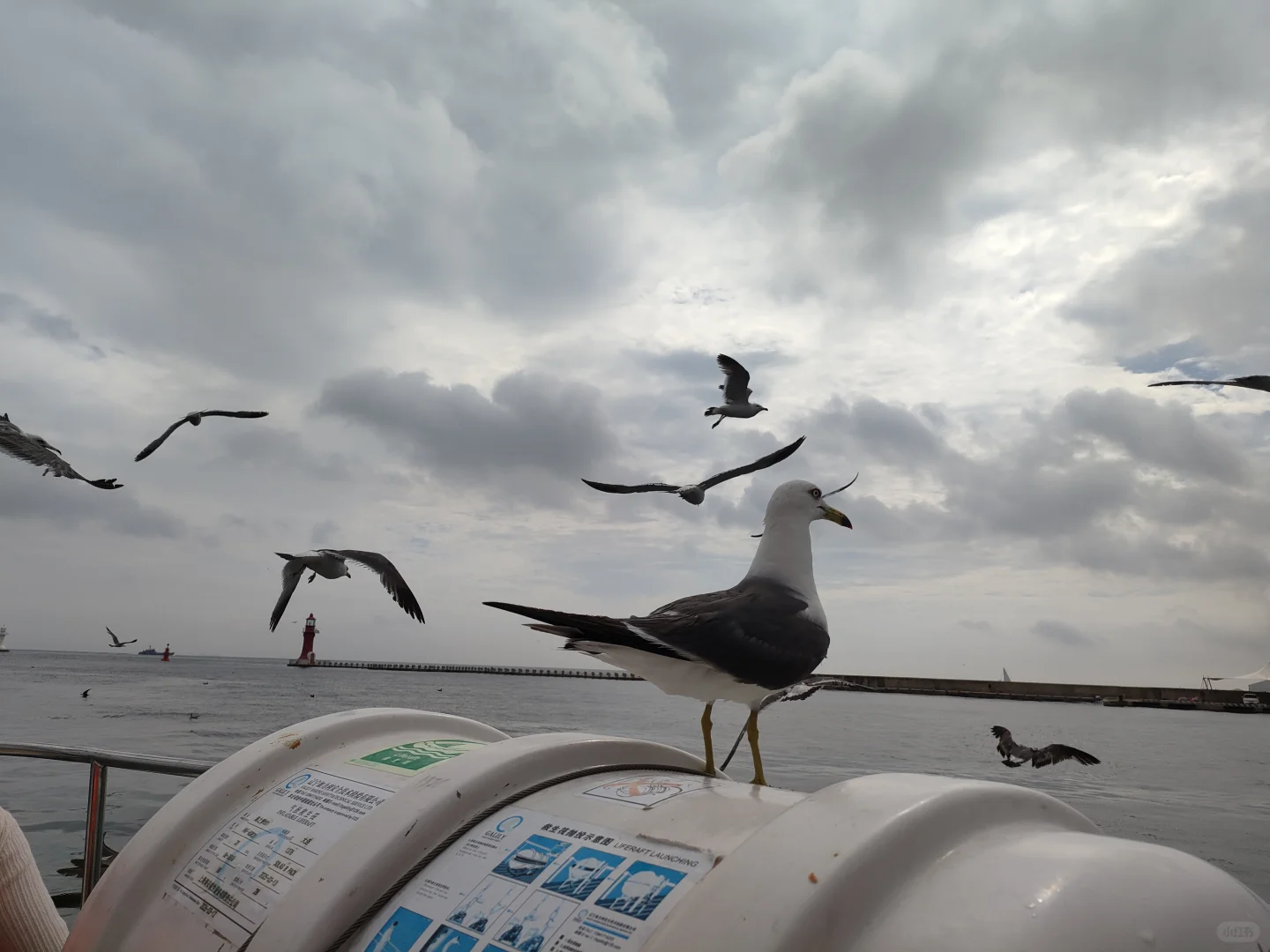 旅游记录 No.1:大连